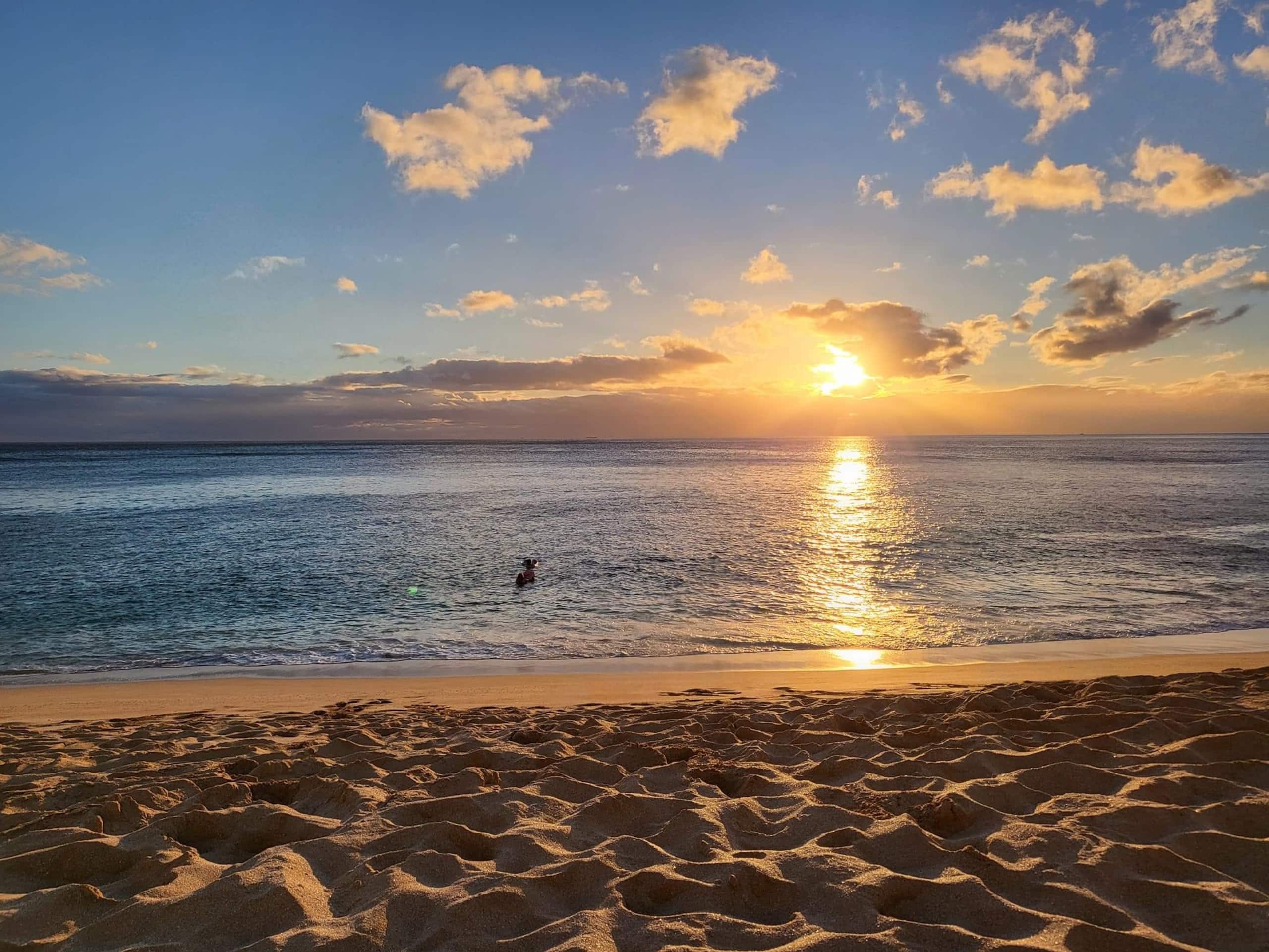 Condo in Waianae · ★4.83 · 1 bedroom · 1 bed · 1 private bath - Photo 14
