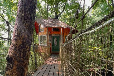 Magical Treehouse ~ Mountain View