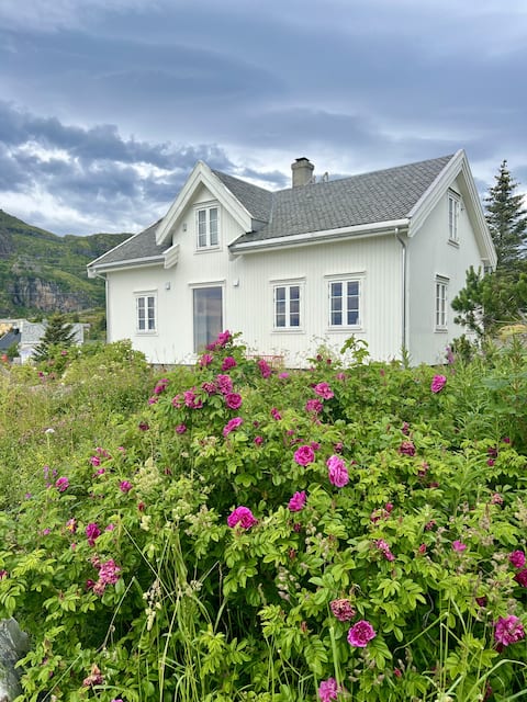 Romantic house-with panoramic view of lofotodden