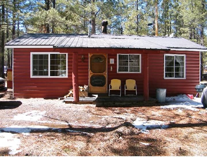 Honeymoon Cozy Forest Cabin - Greer, AZ