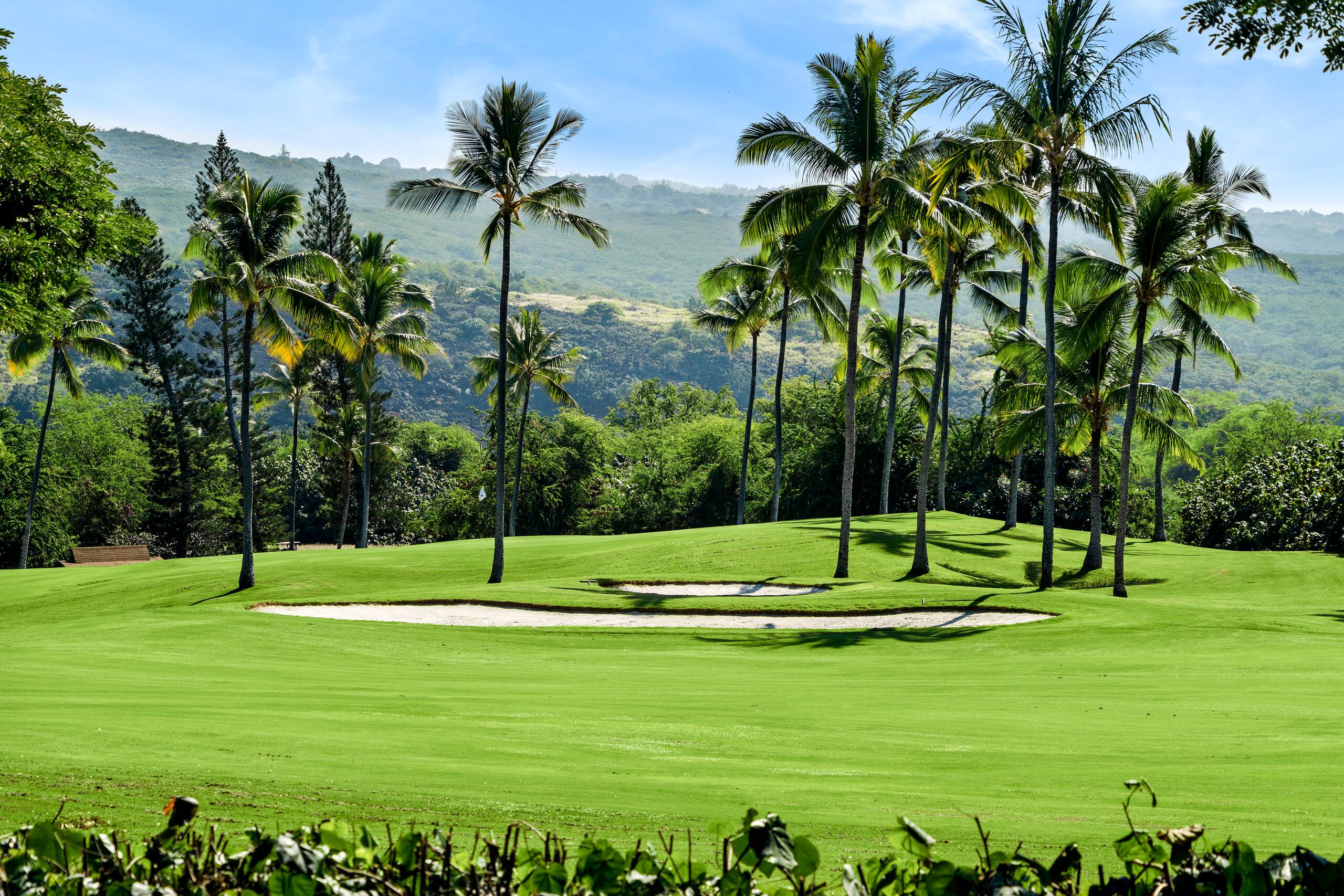 Home in Kailua-Kona · ★4.87 · 3 bedrooms · 3 beds · 2.5 baths - Image 44