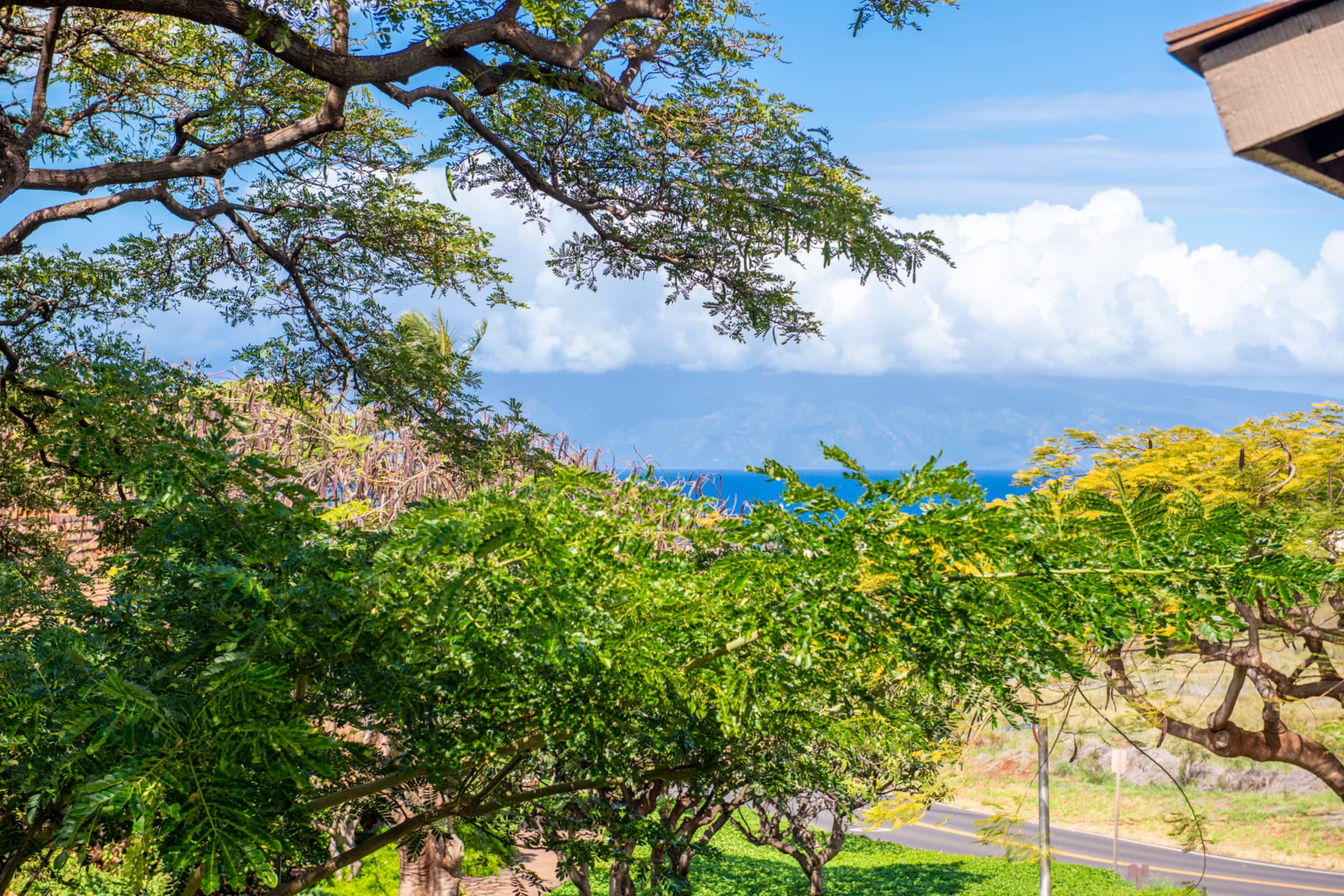 Villa in Lahaina · ★4.46 · 3 bedrooms · 4 beds · 3 shared baths - Image 32