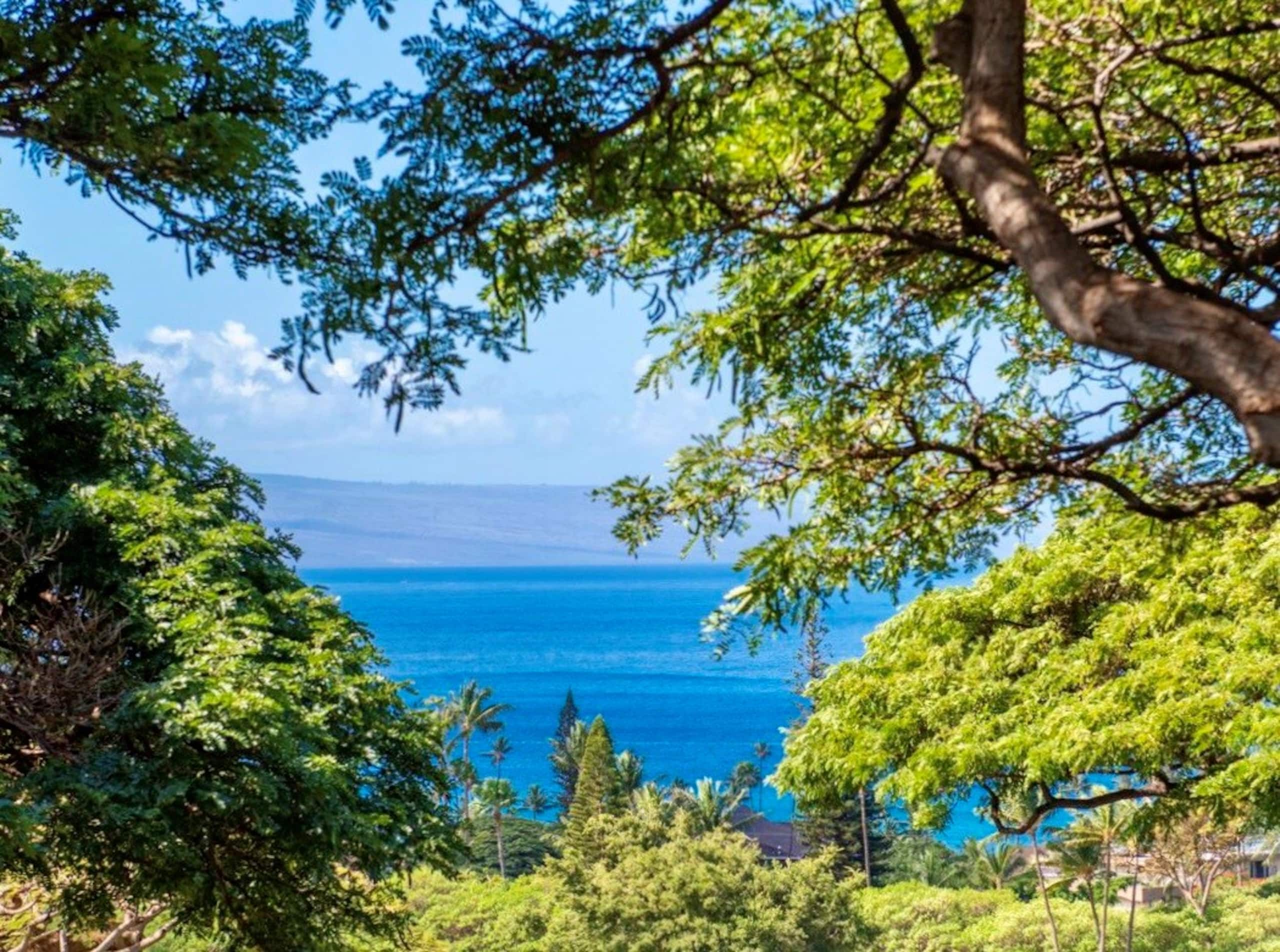 Villa in Lahaina · ★4.46 · 3 bedrooms · 4 beds · 3 shared baths - Image 9