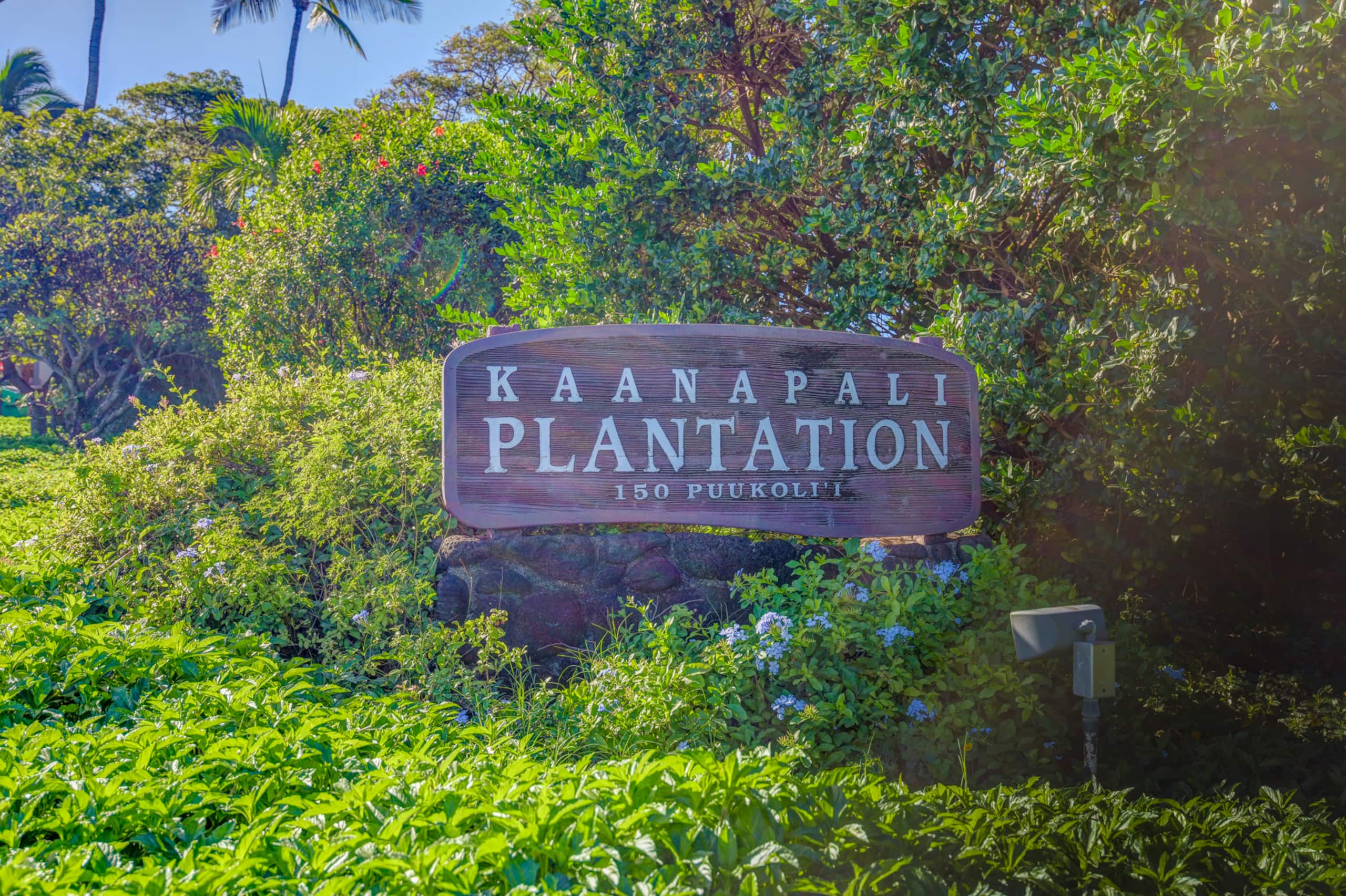 Villa in Lahaina · ★4.46 · 3 bedrooms · 4 beds · 3 shared baths - Image 25