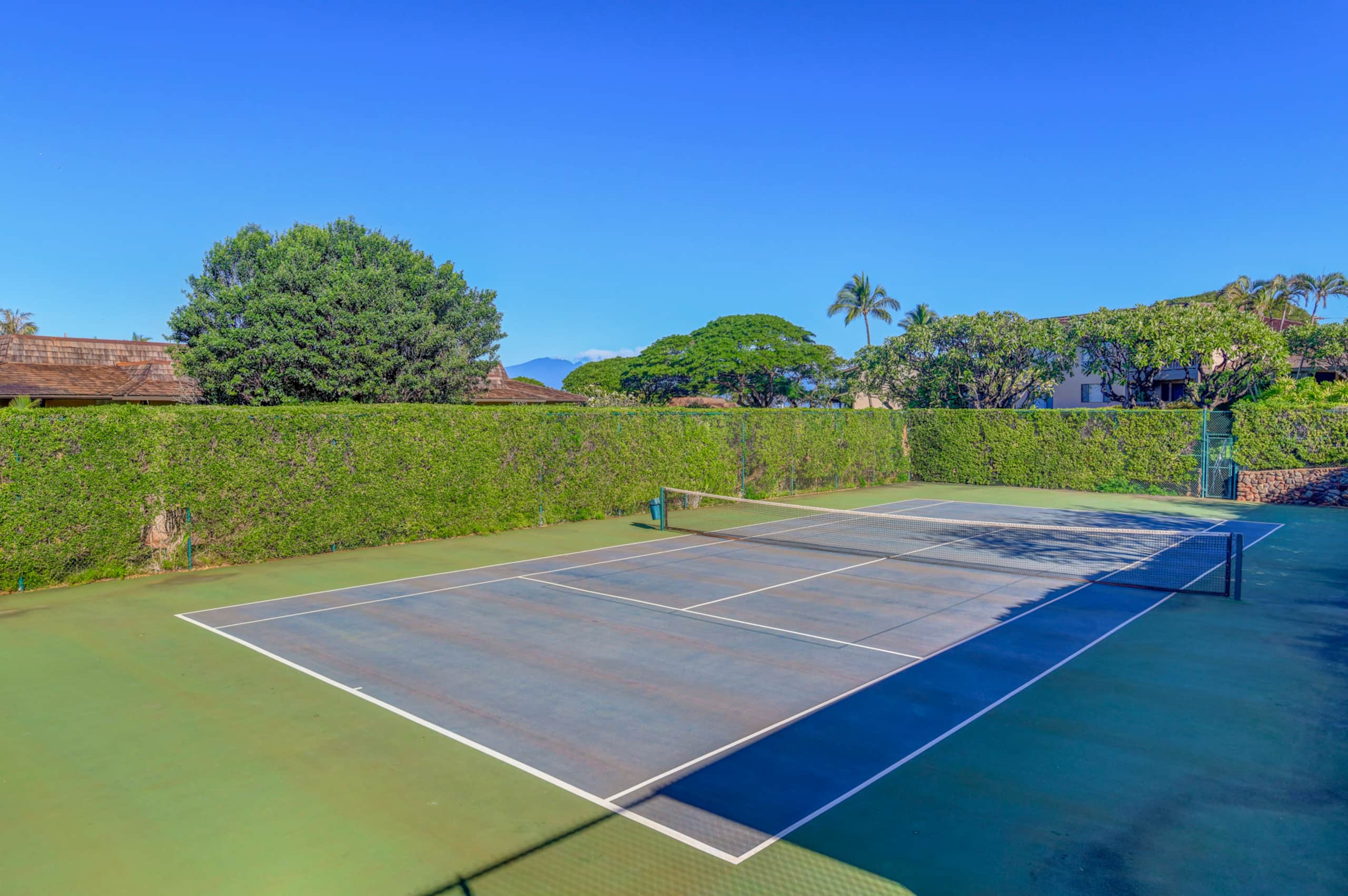 Villa in Lahaina · ★4.46 · 3 bedrooms · 4 beds · 3 shared baths - Image 29