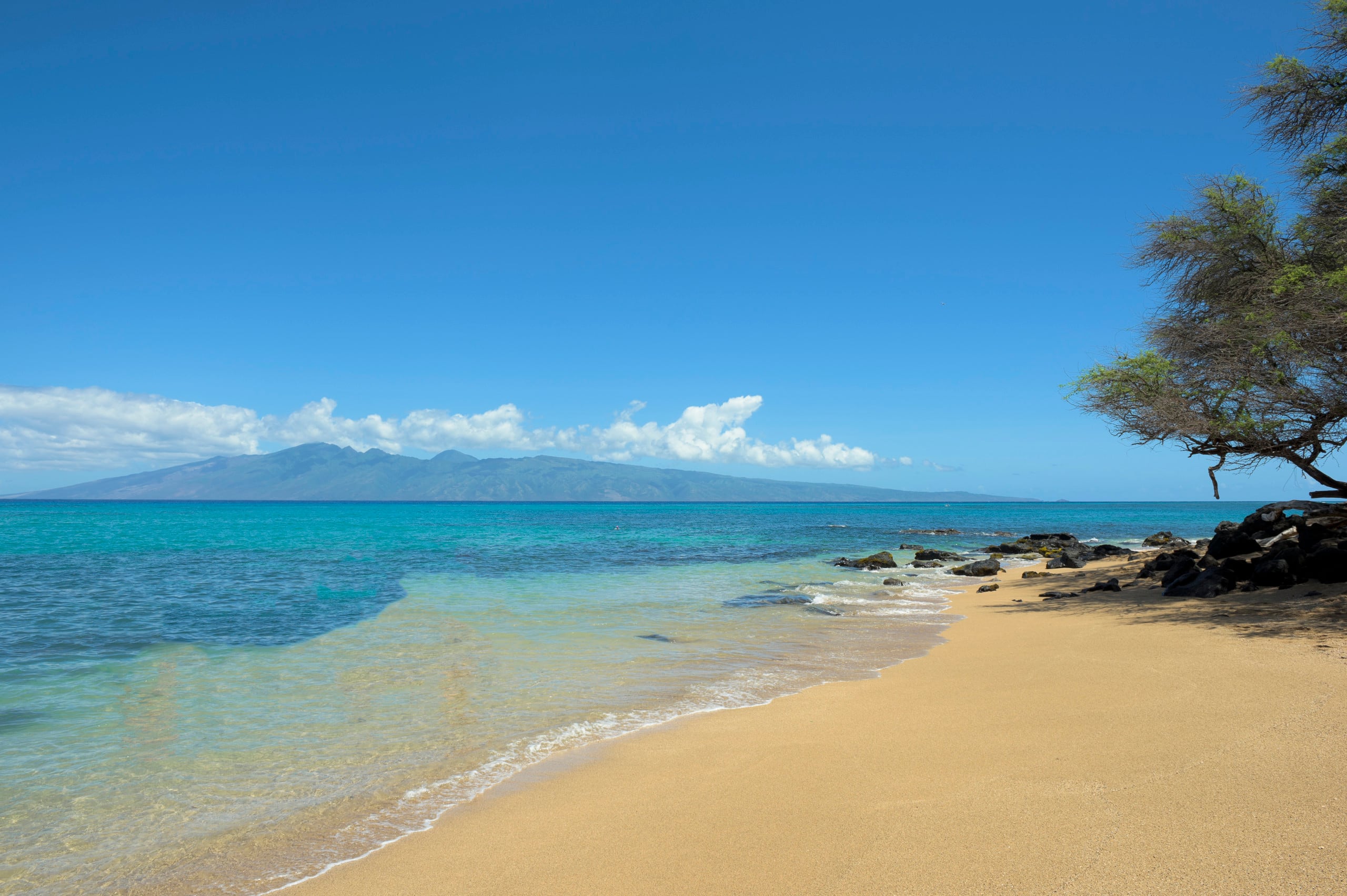 Condo in Lahaina · ★4.15 · 1 bedroom · 2 beds · 1 bath - Image 44
