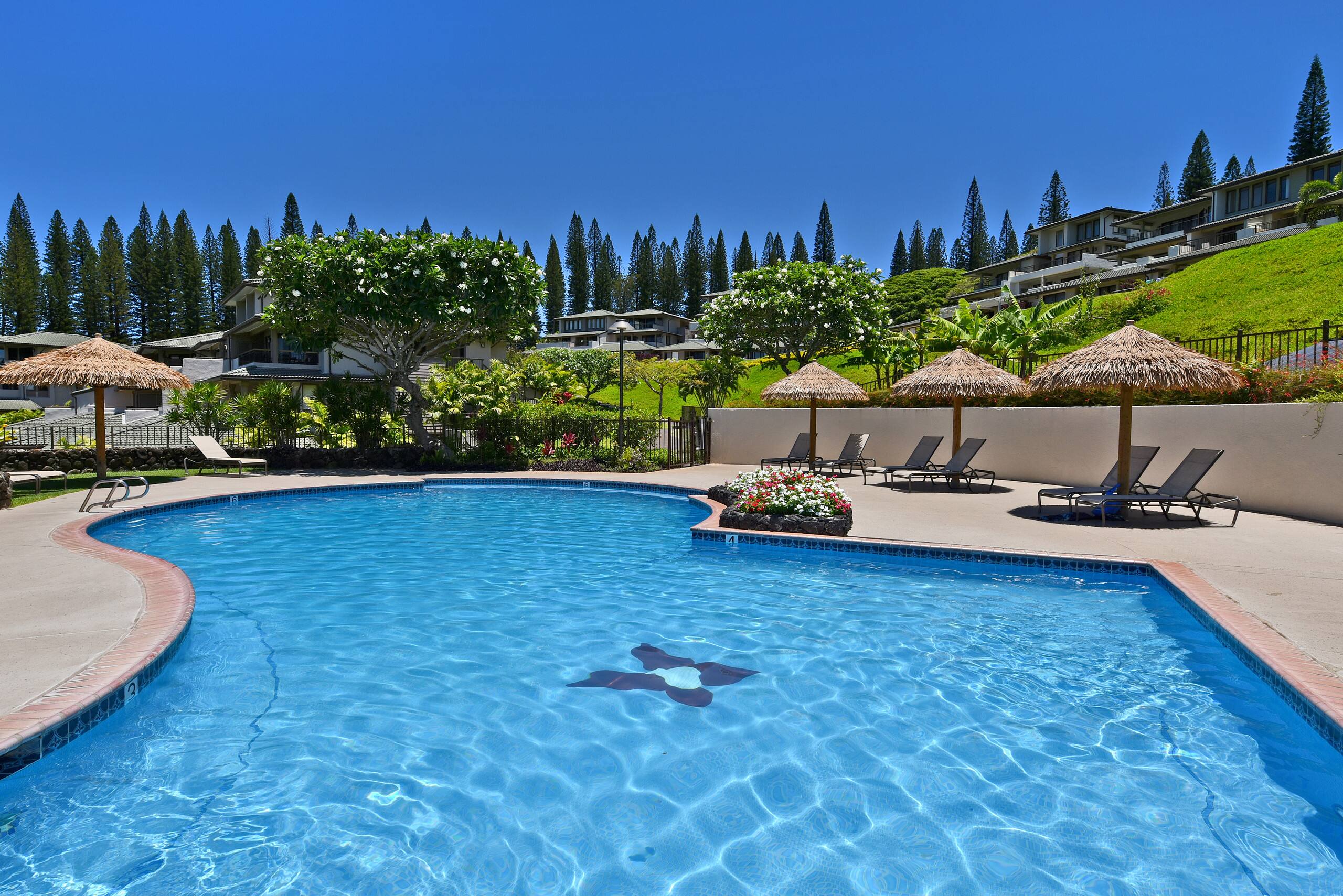 Condo in Lahaina · ★4.89 · 1 bedroom · 1 bed · 2 baths - Image 27