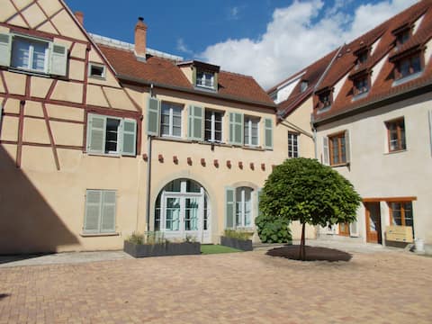 Propriété Airbnb réussie: Alcove-Apartment-Ensuite with Bath-Patio à Colmar
