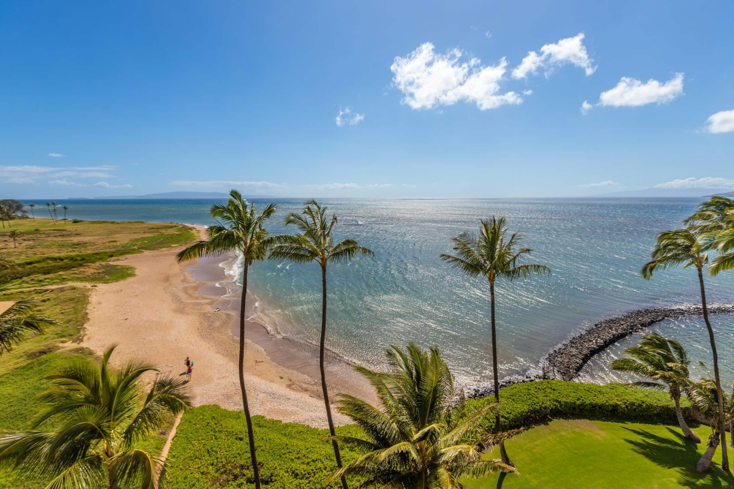 Condo in Kihei · ★4.56 · 2 bedrooms · 2 beds · 2 baths - Image 43