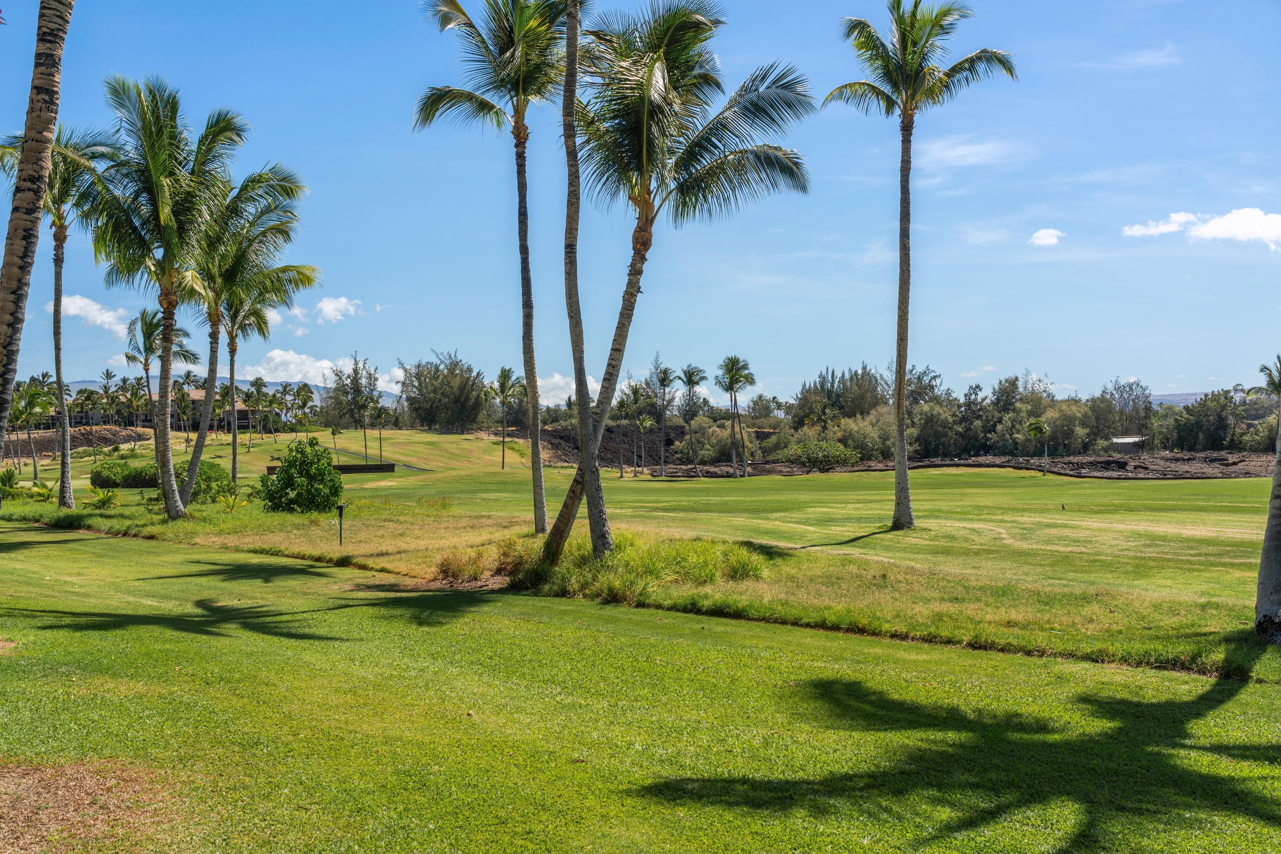 Hilton Pool Pass for for 2026 and Waikoloa Golf - Photo 50