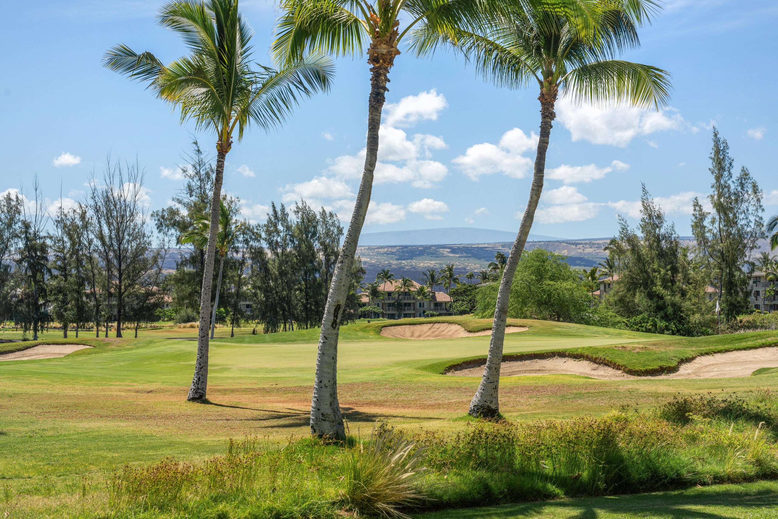 Hilton Pool Pass for for 2026 and Waikoloa Golf - Photo 48
