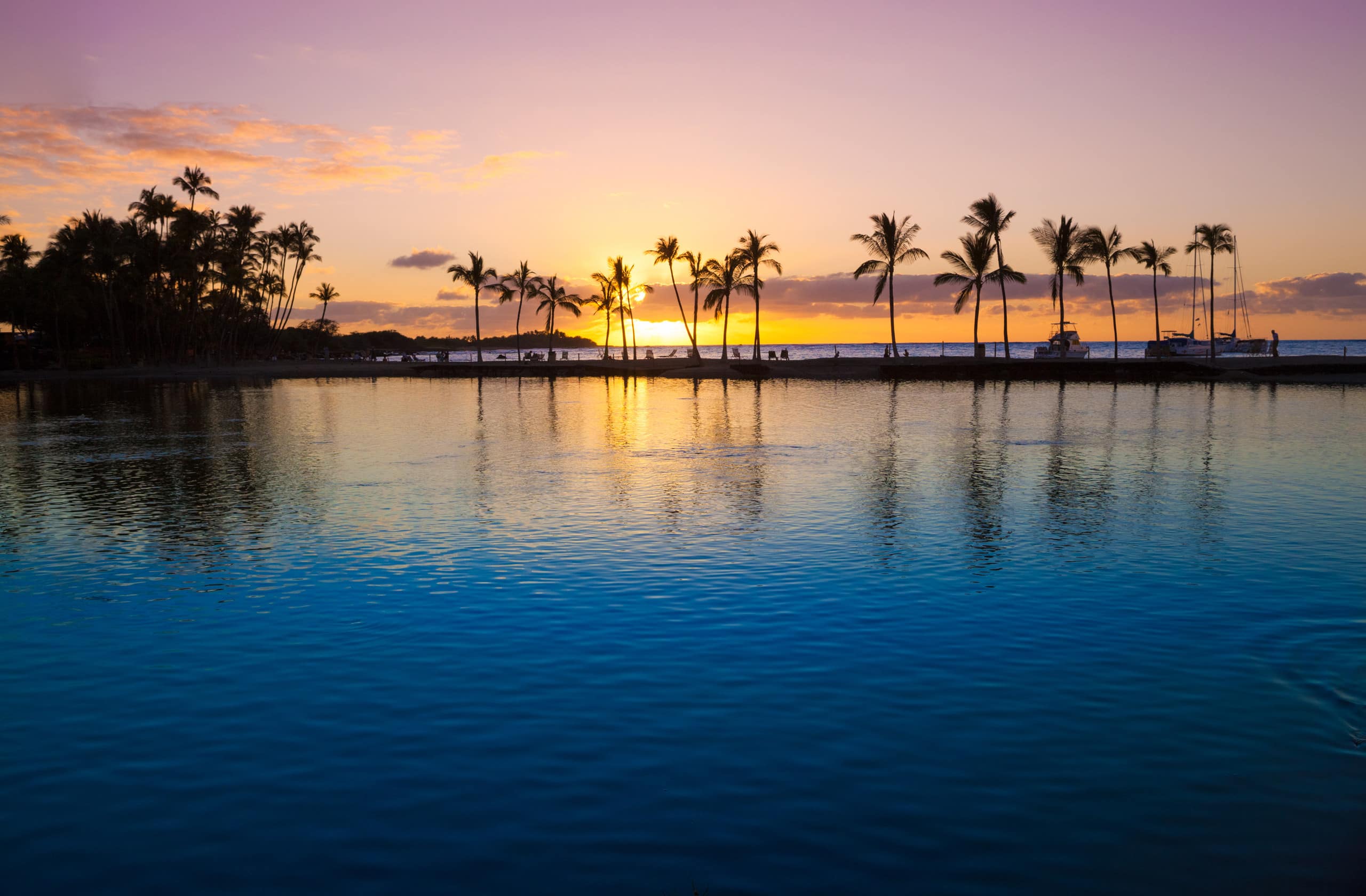 Hilton Pool Pass for for 2026 and Waikoloa Golf - Photo 43