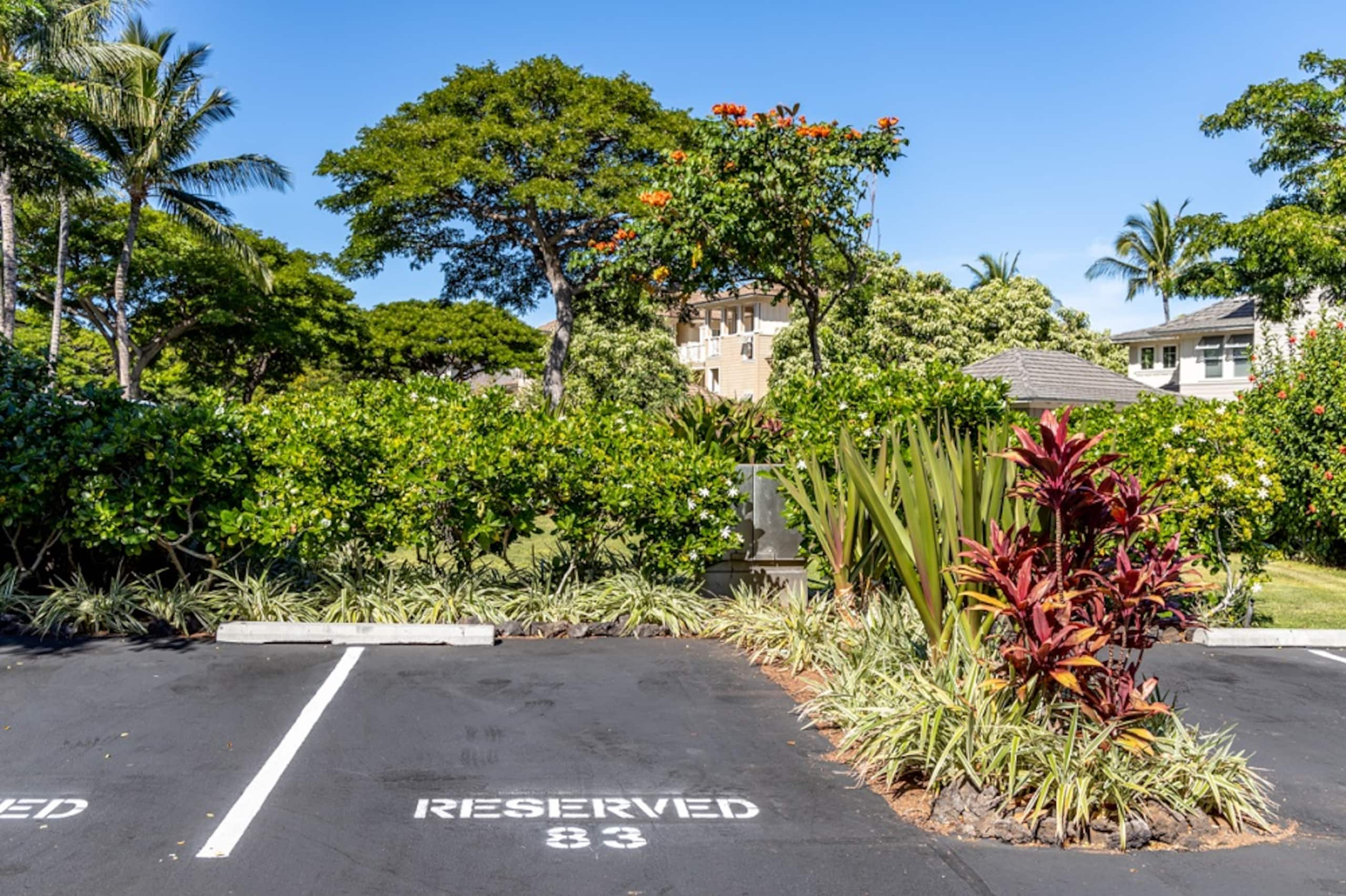 Hilton Pool Pass for for 2026 and Waikoloa Golf - Photo 34