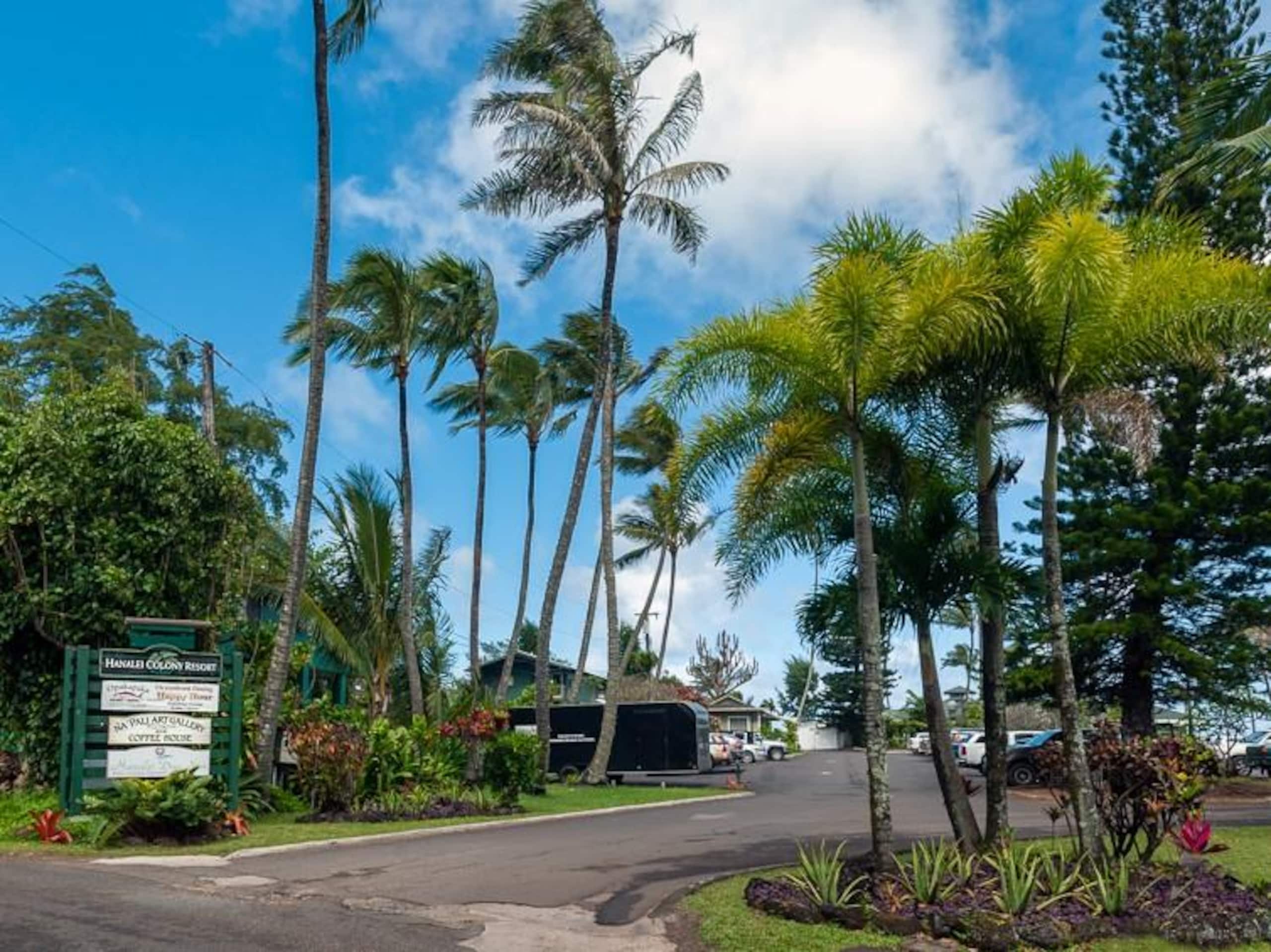 Condo in Hanalei · ★4.53 · 2 bedrooms · 3 beds · 2 baths - Photo 32