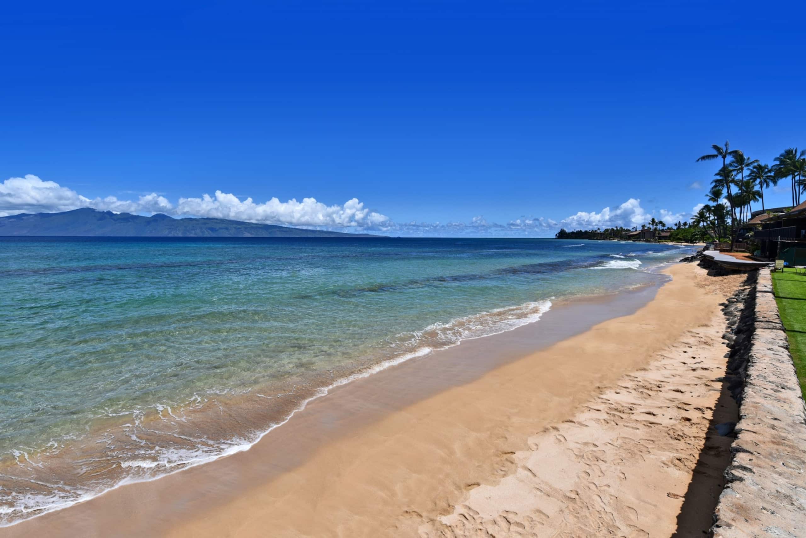 Condo in Lahaina · ★4.95 · 1 bedroom · 2 beds · 1 bath - Image 40