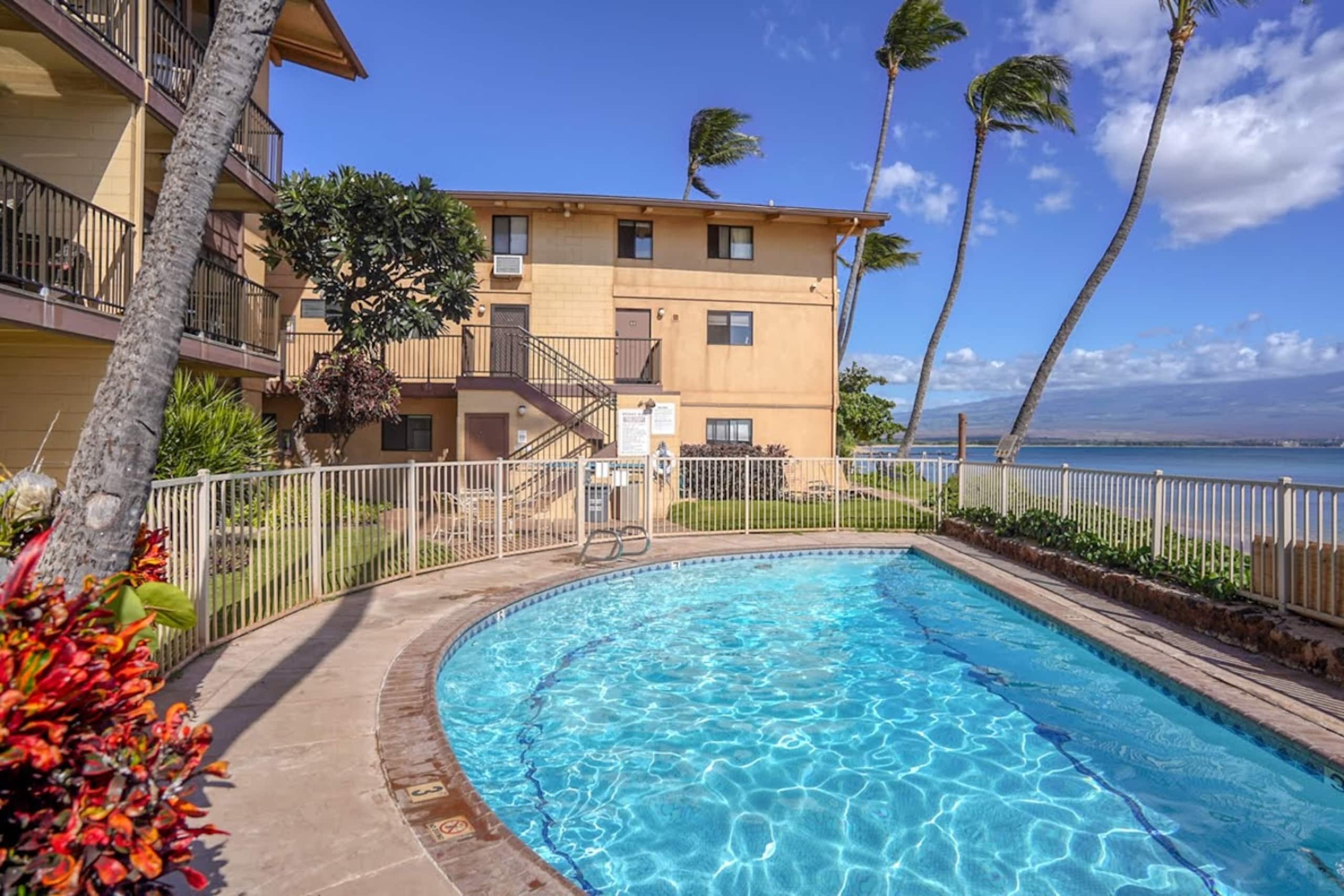 Condo in Wailuku · ★4.66 · 1 bedroom · 1 bed · 1 bath - Image 17