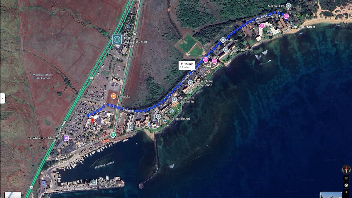 Suite Maui Paradise Condo - Condominiums for Rent in Wailuku, Hawaii,  United States - Airbnb