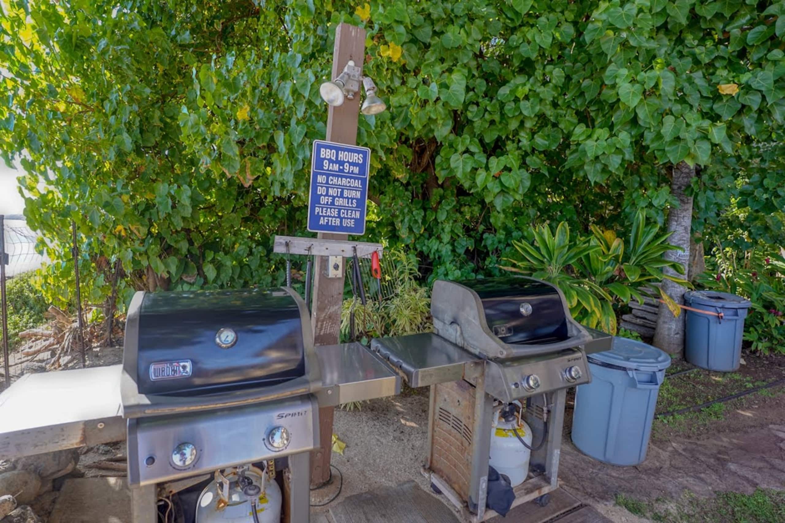 Condo in Wailuku · ★4.66 · 1 bedroom · 1 bed · 1 bath - Image 21