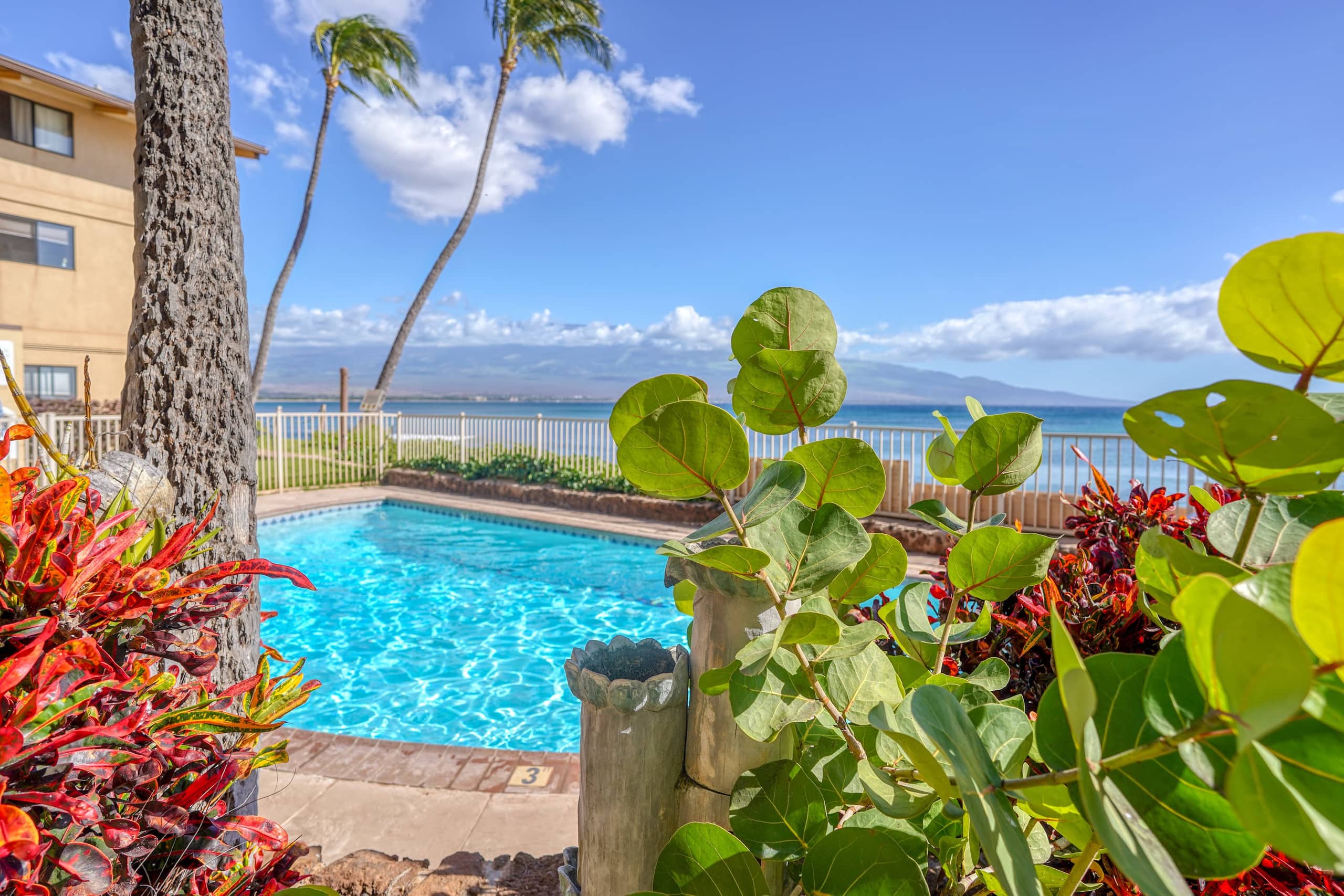 Condo in Wailuku · ★4.66 · 1 bedroom · 1 bed · 1 bath - Image 1