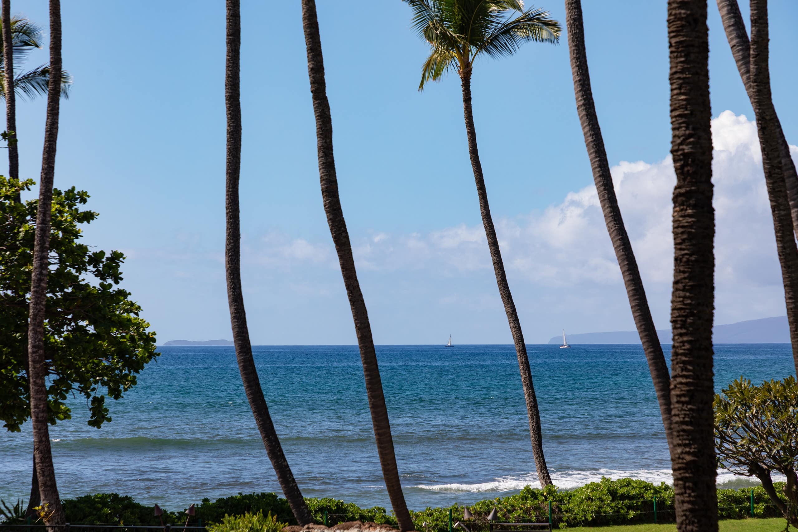 Condo in Wailuku · ★4.88 · 2 bedrooms · 2 beds · 2 shared baths - Image 1