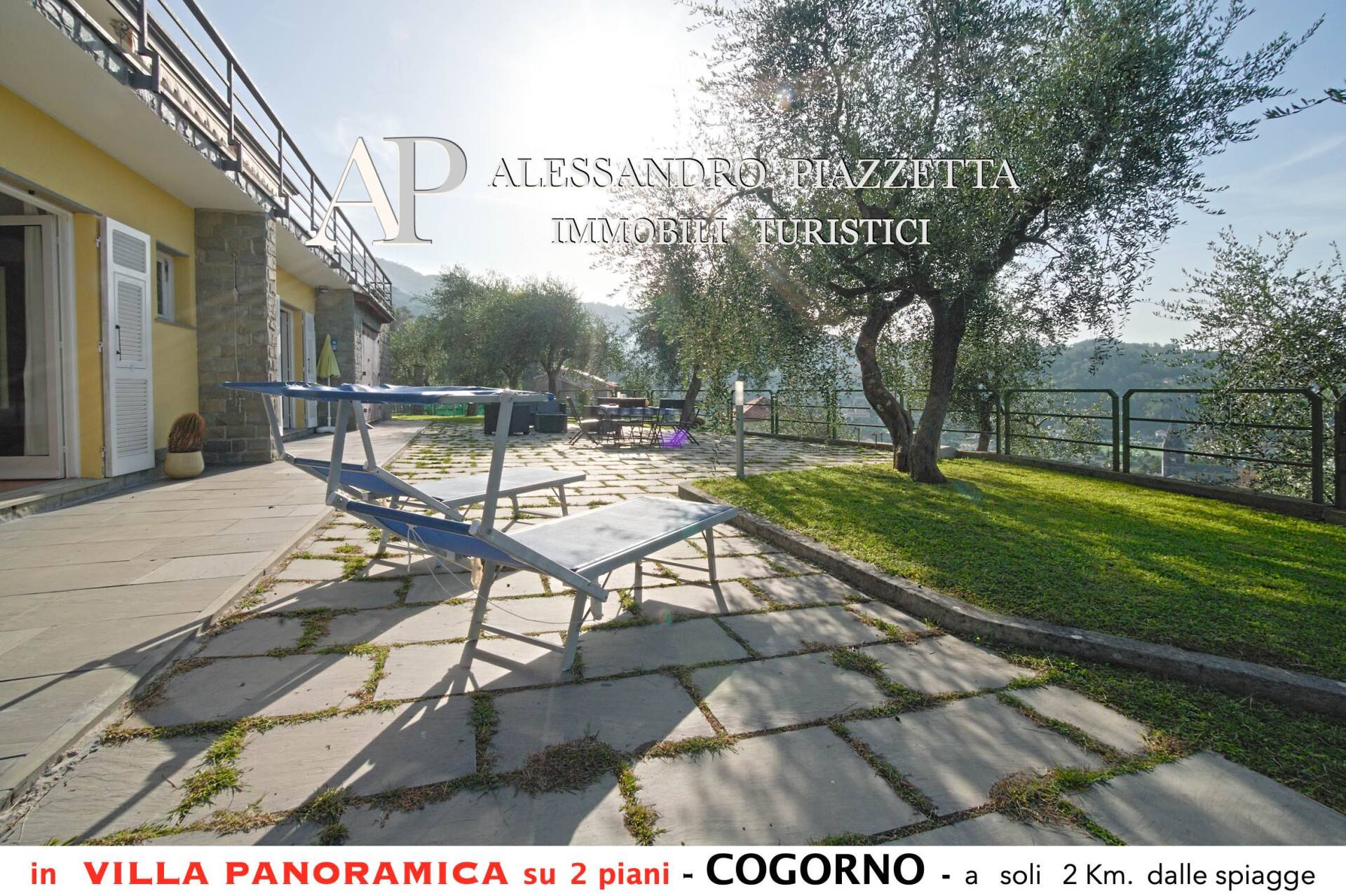 Villa among the olive trees - beautiful panoramic view — photo 5