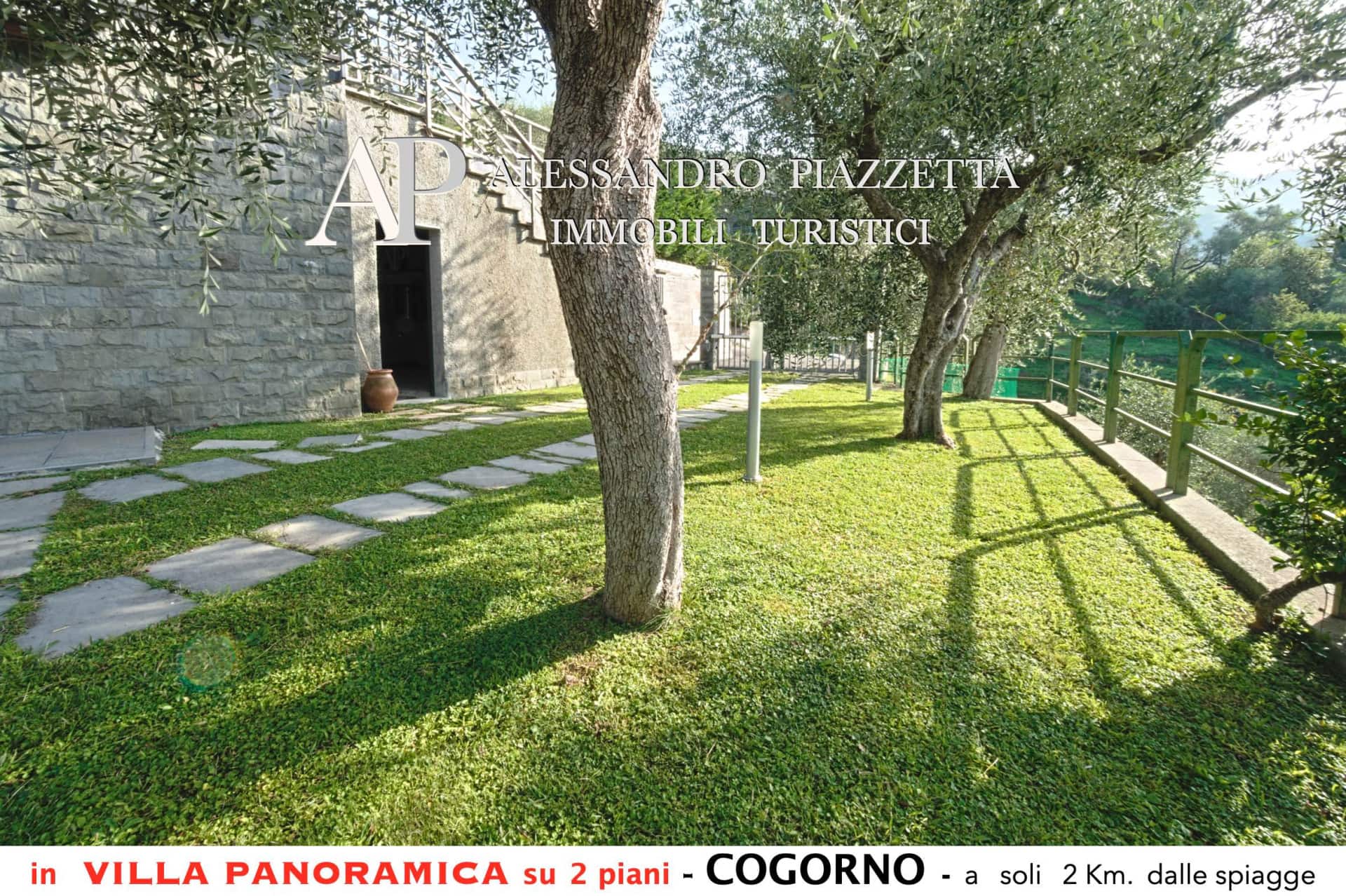 Villa among the olive trees - beautiful panoramic view — photo 2