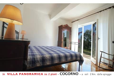 Villa among the olive trees - panoramic view
