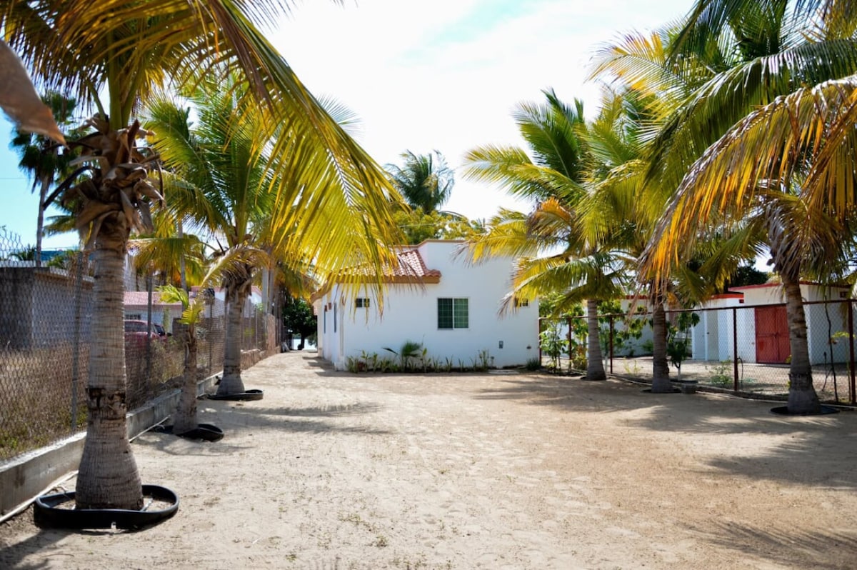 A sandy pathway leads to a white building surrounded by tall, leafy palm trees. The scenery reflects a relaxed atmosphere, with sunlight filtering through the palms, highlighting the natural landscape and tranquil setting.