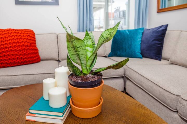 Cute Boston Condo | Near T gallery image 3