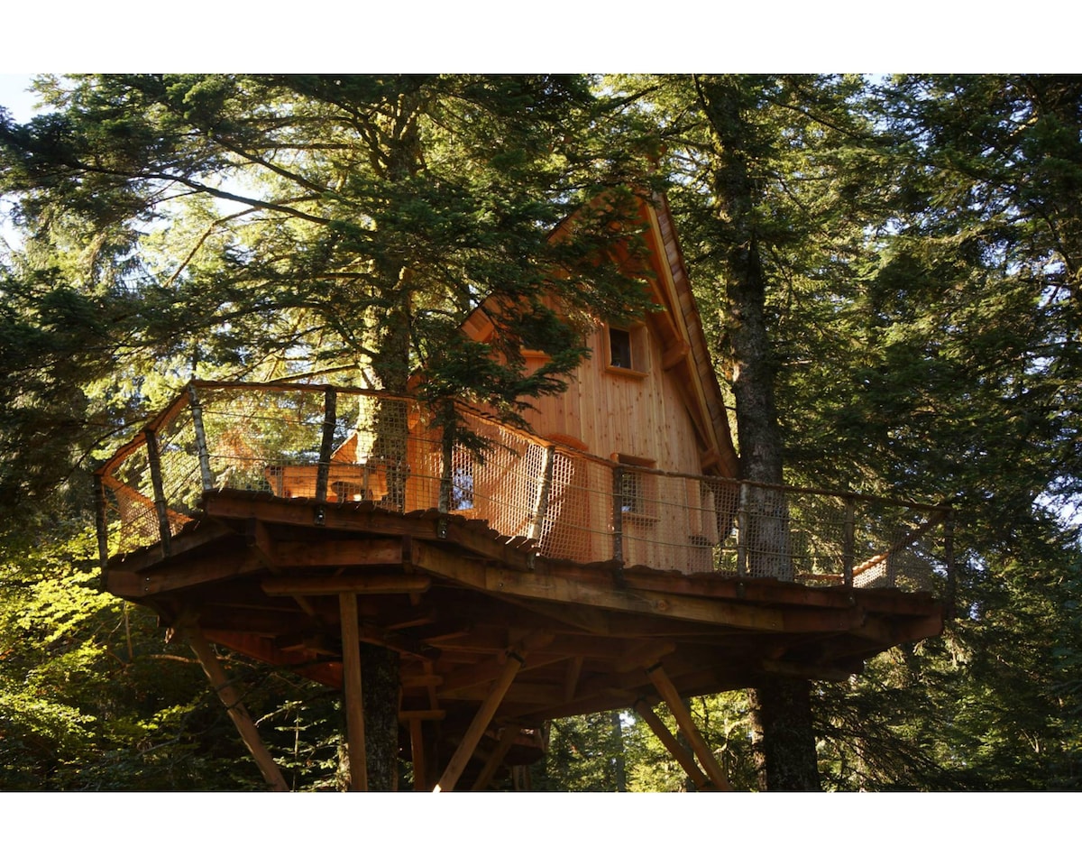 A tree house is elevated among tall trees, featuring wooden siding and an angled roof. A surrounding deck with a metal railing offers views of the lush forest. Natural light filters through the trees, creating dappled shadows on the ground.