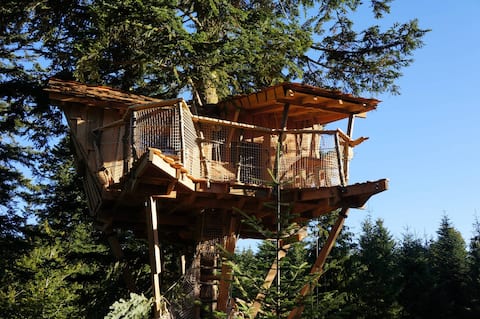 Nest of Kiss tree house