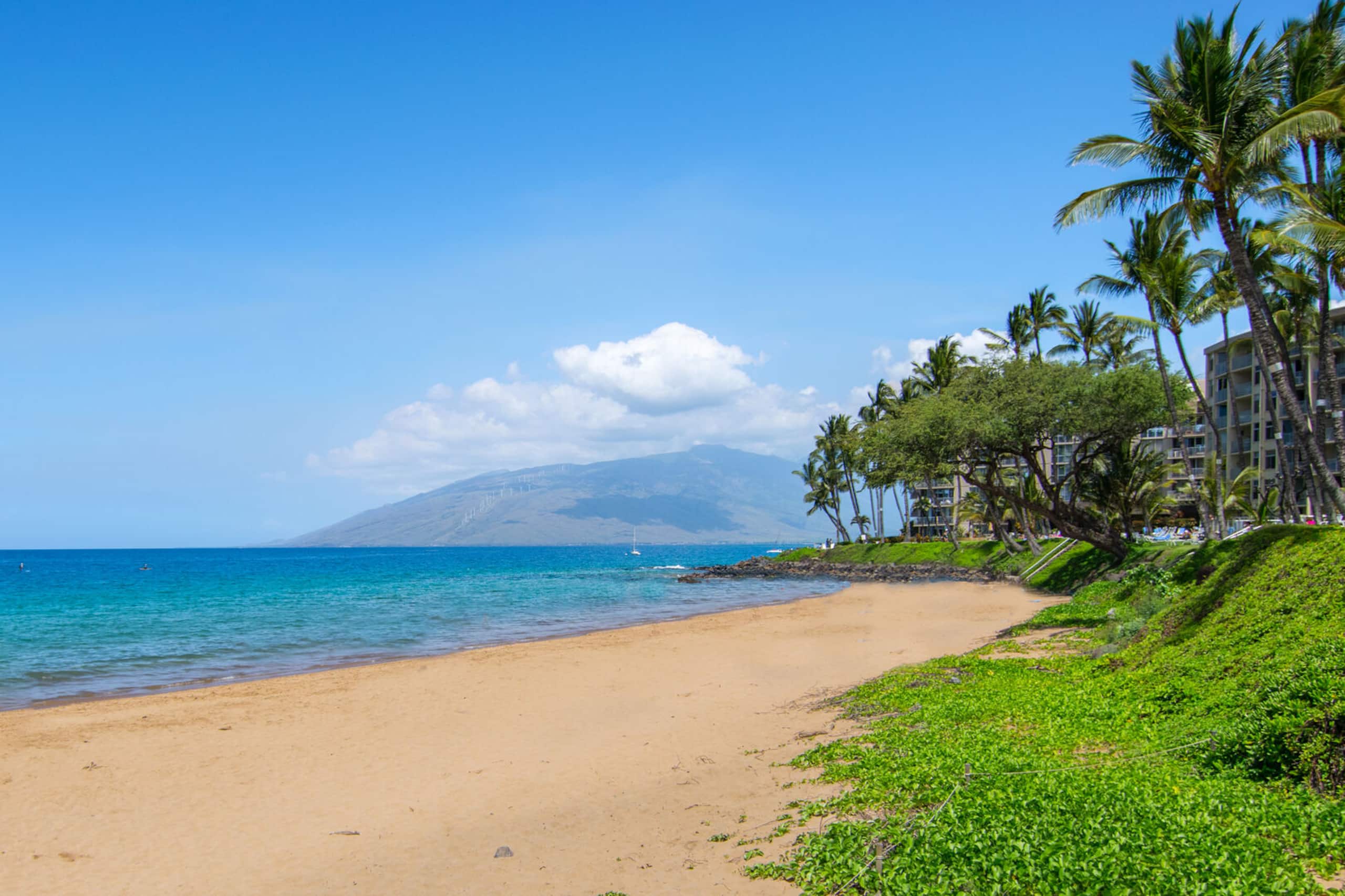Condo in Kihei · ★4.87 · 1 bedroom · 2 beds · 1 private bath - Image 33