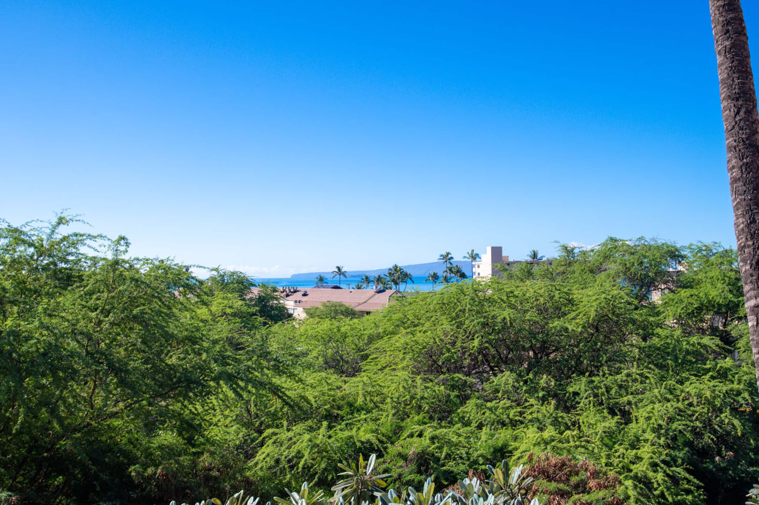 Condo in Kihei · ★4.87 · 1 bedroom · 2 beds · 1 private bath - Image 26