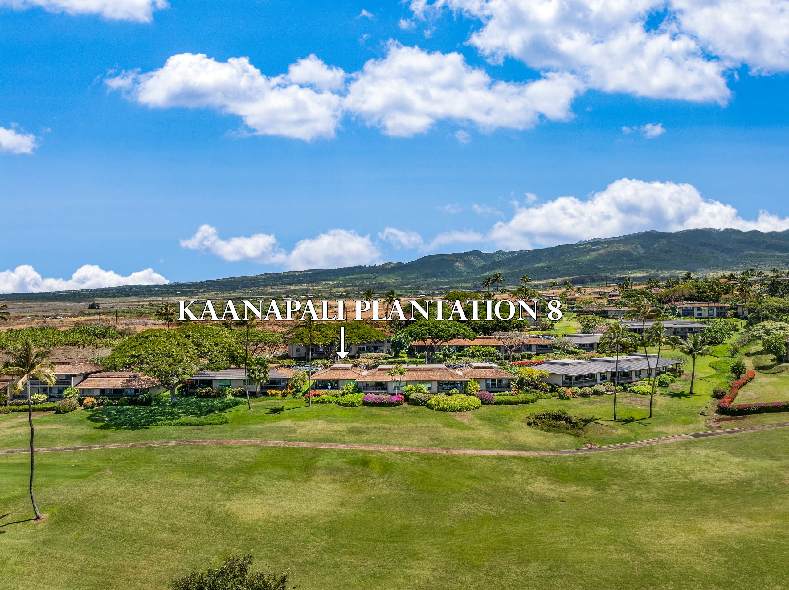 Condo in Lahaina · ★4.76 · 2 bedrooms · 4 beds · 2 baths - Image 39