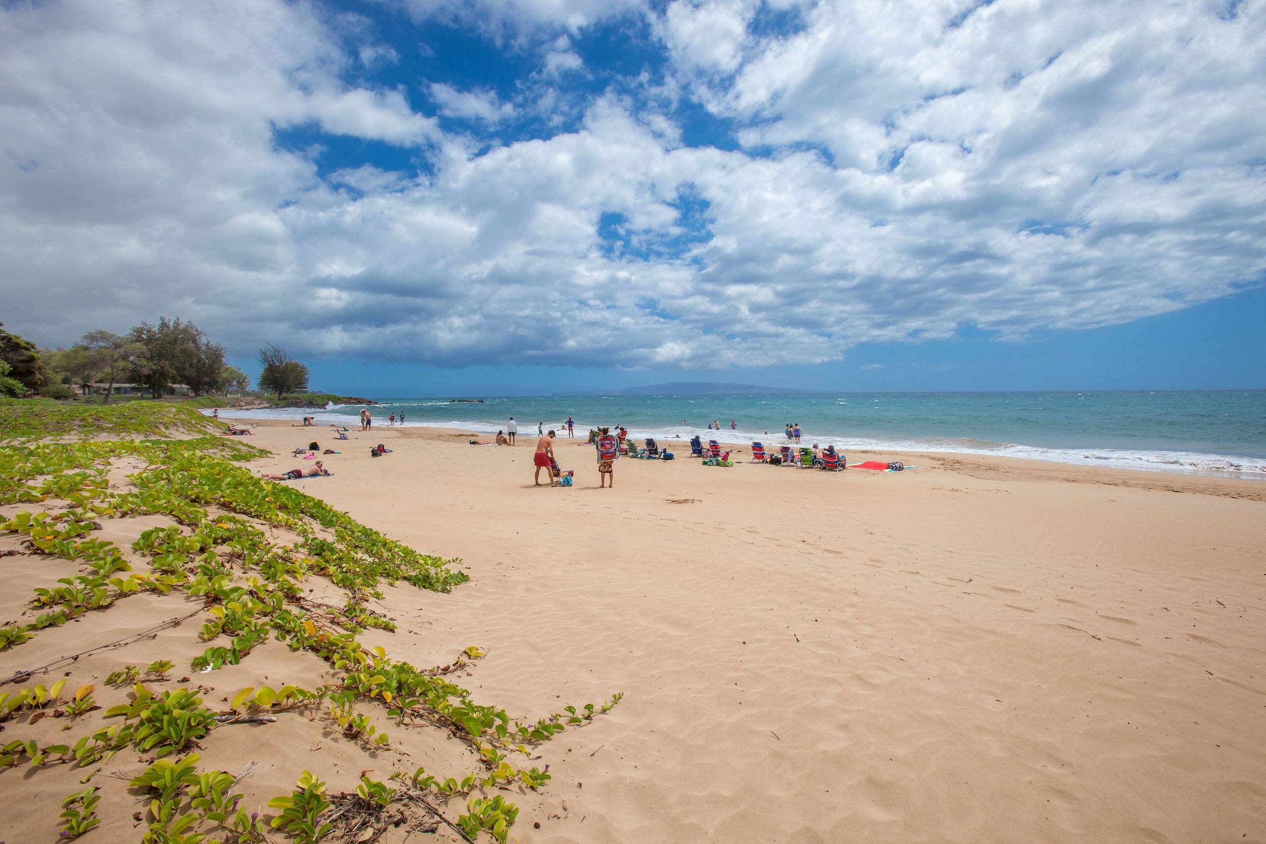 Condo in Kihei · ★4.8 · 2 bedrooms · 4 beds · 2 private baths - Image 43