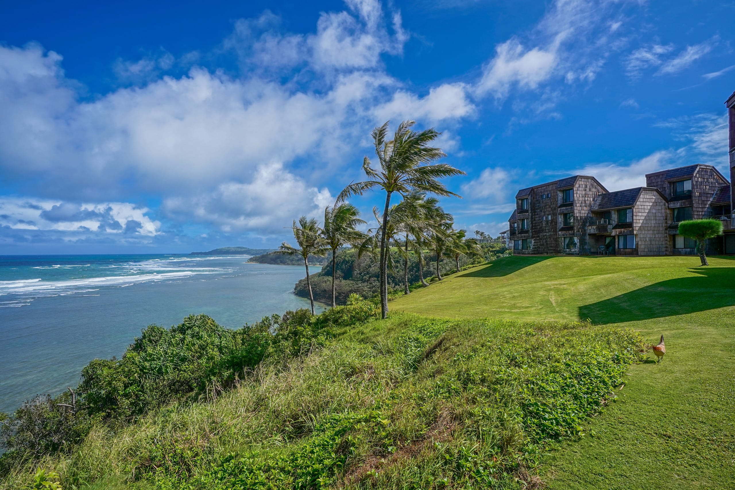 Condo in Princeville · ★4.73 · 2 bedrooms · 3 beds · 2 baths - Image 33