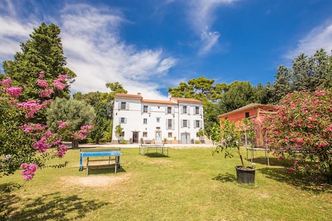 Villa Benedetta - Homelike Villas