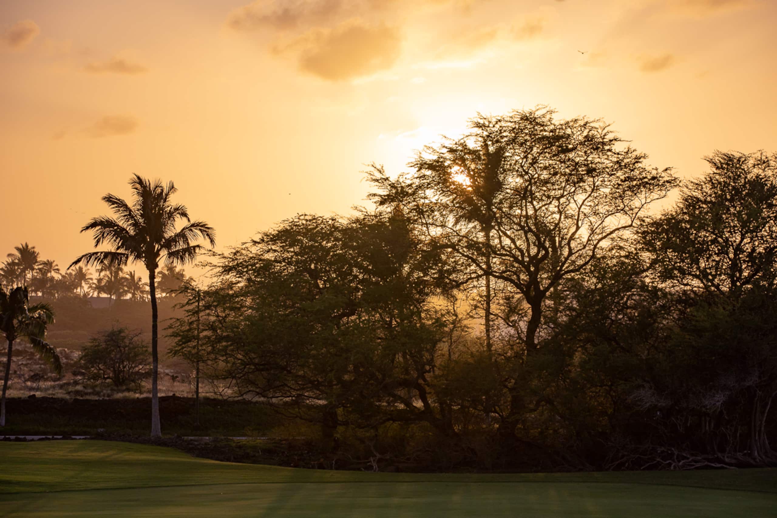 Home in Waimea · ★5.0 · 4 bedrooms · 5 beds · 3 baths - Image 59