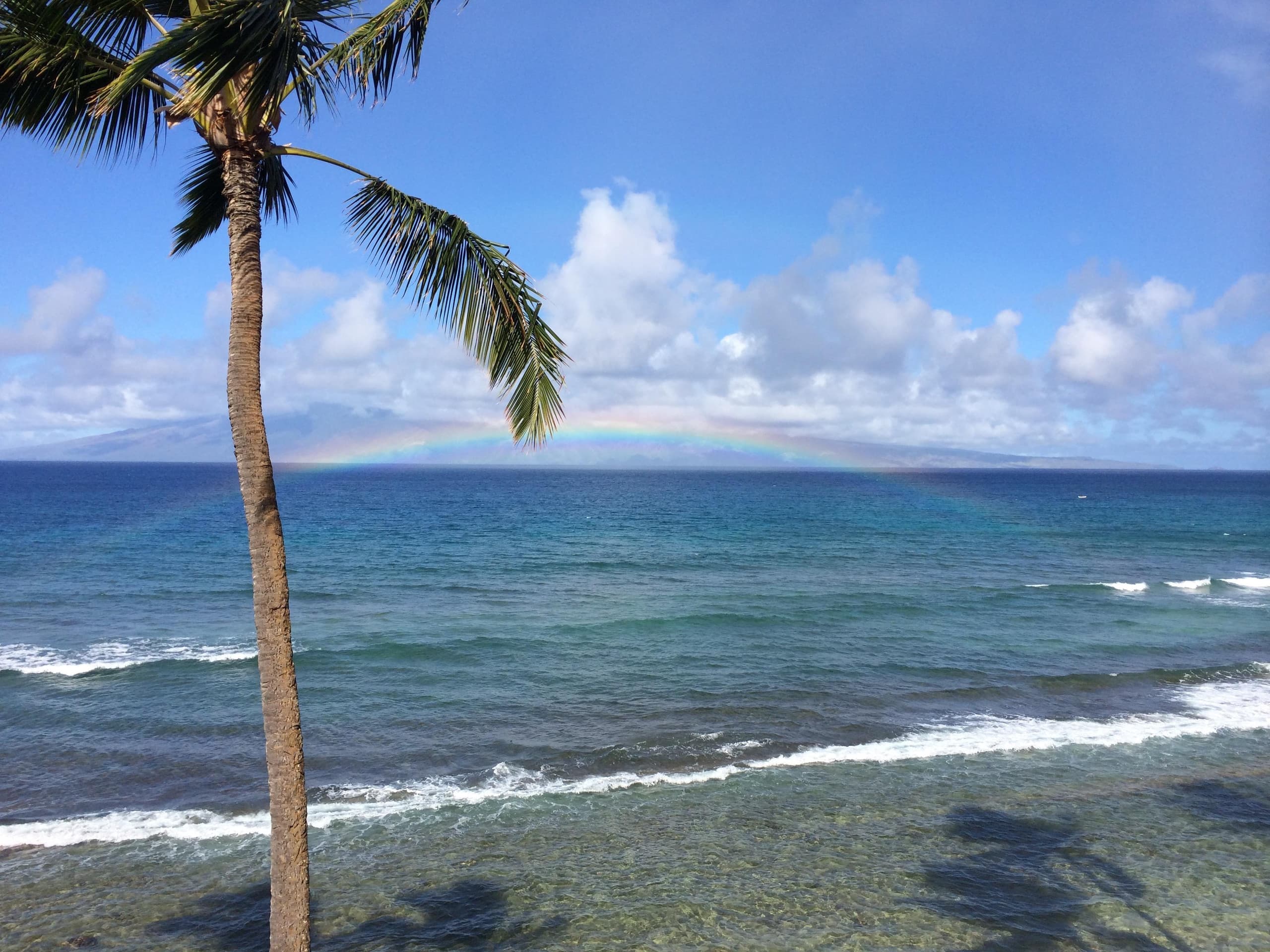 Condo in Lahaina · ★4.93 · 1 bedroom · 2 beds · 1 private bath - Image 30