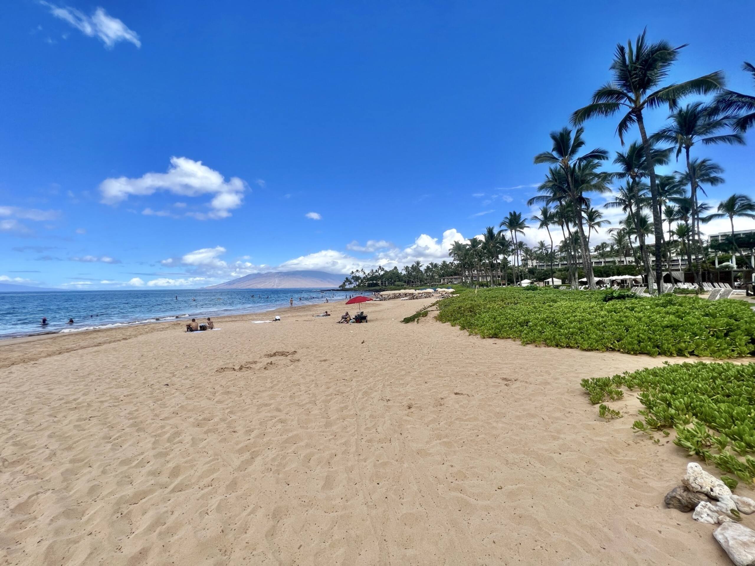 Condo in Kihei · ★4.63 · 1 bedroom · 2 beds · 2 baths - Image 50