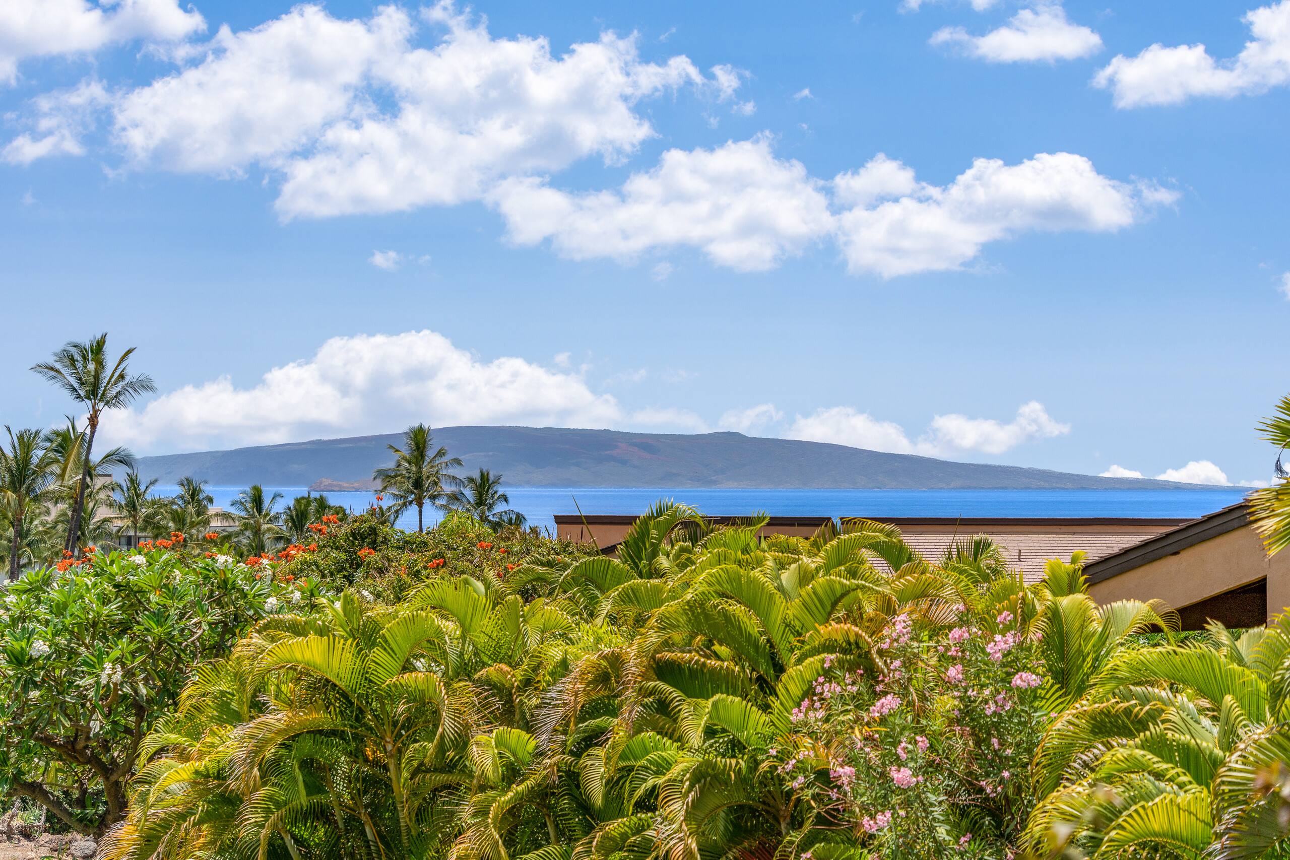 Condo in Kihei · ★4.63 · 1 bedroom · 2 beds · 2 baths - Image 36
