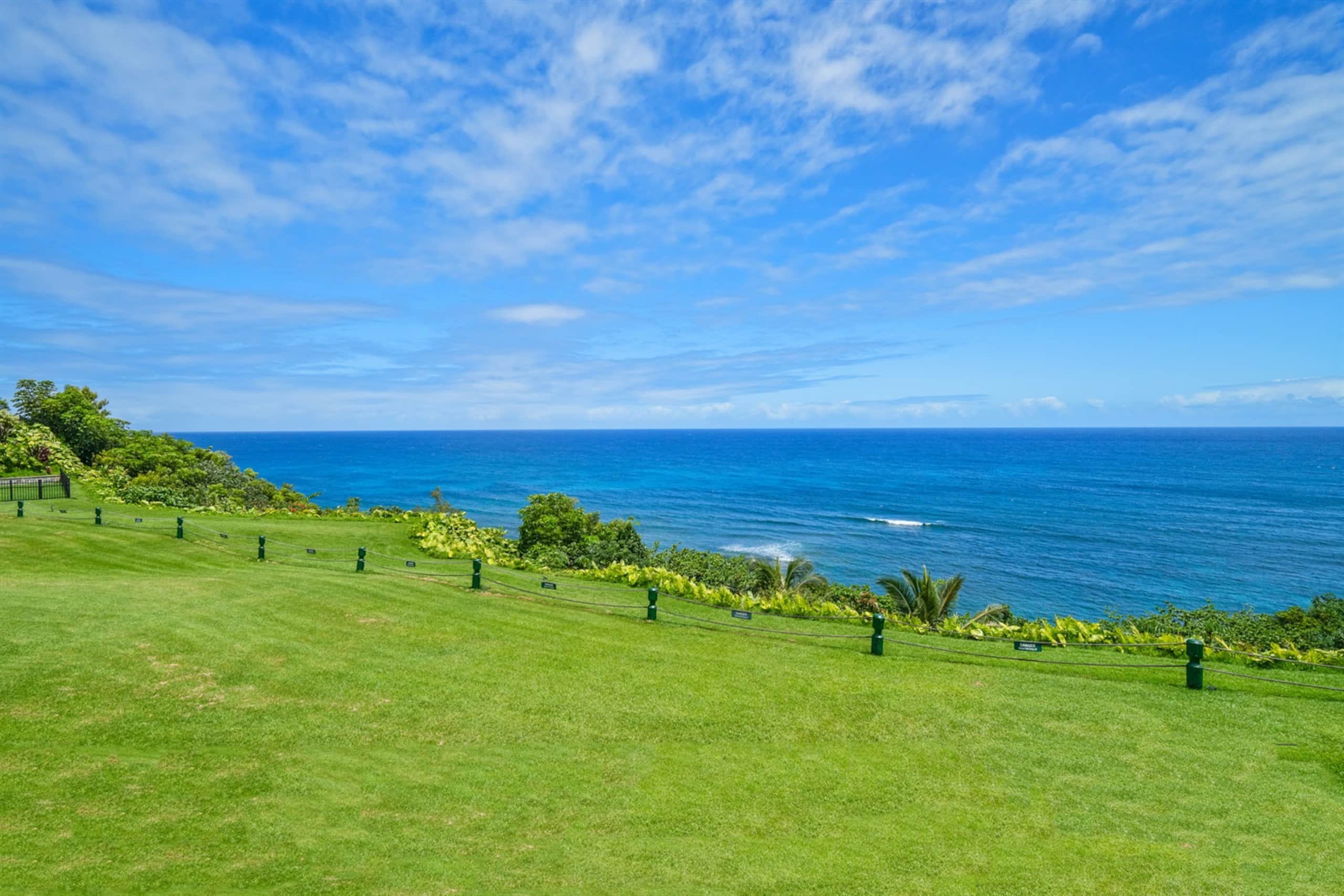 Condo in Princeville · ★4.98 · 2 bedrooms · 4 beds · 2 baths - Image 37