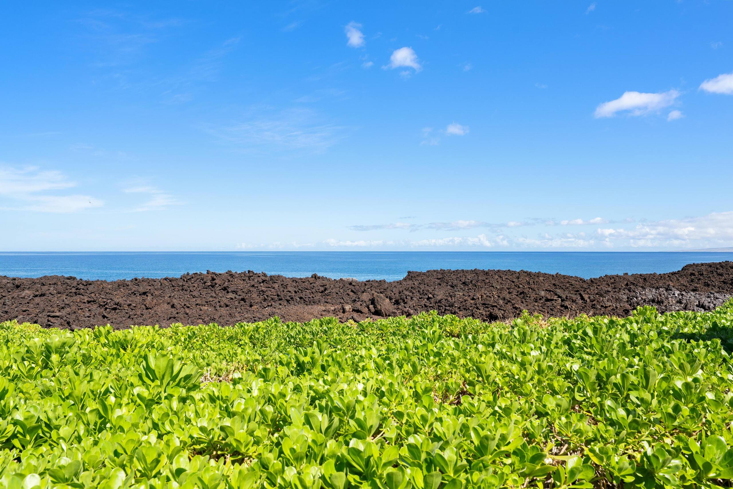 Ocean Front With Stunning Views 13E Halii Kai - Photo 42