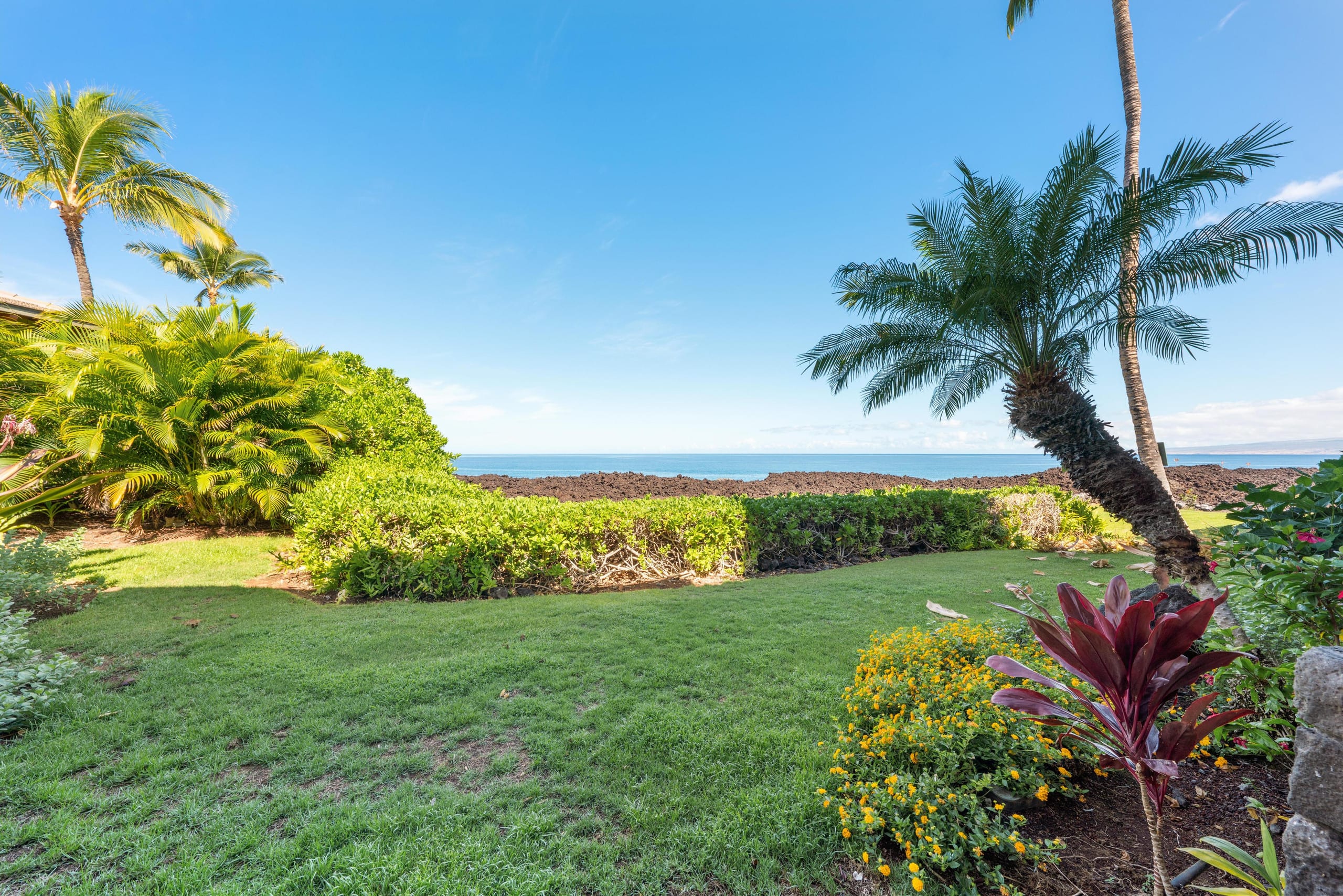 Ocean Front With Stunning Views 13E Halii Kai - Photo 41