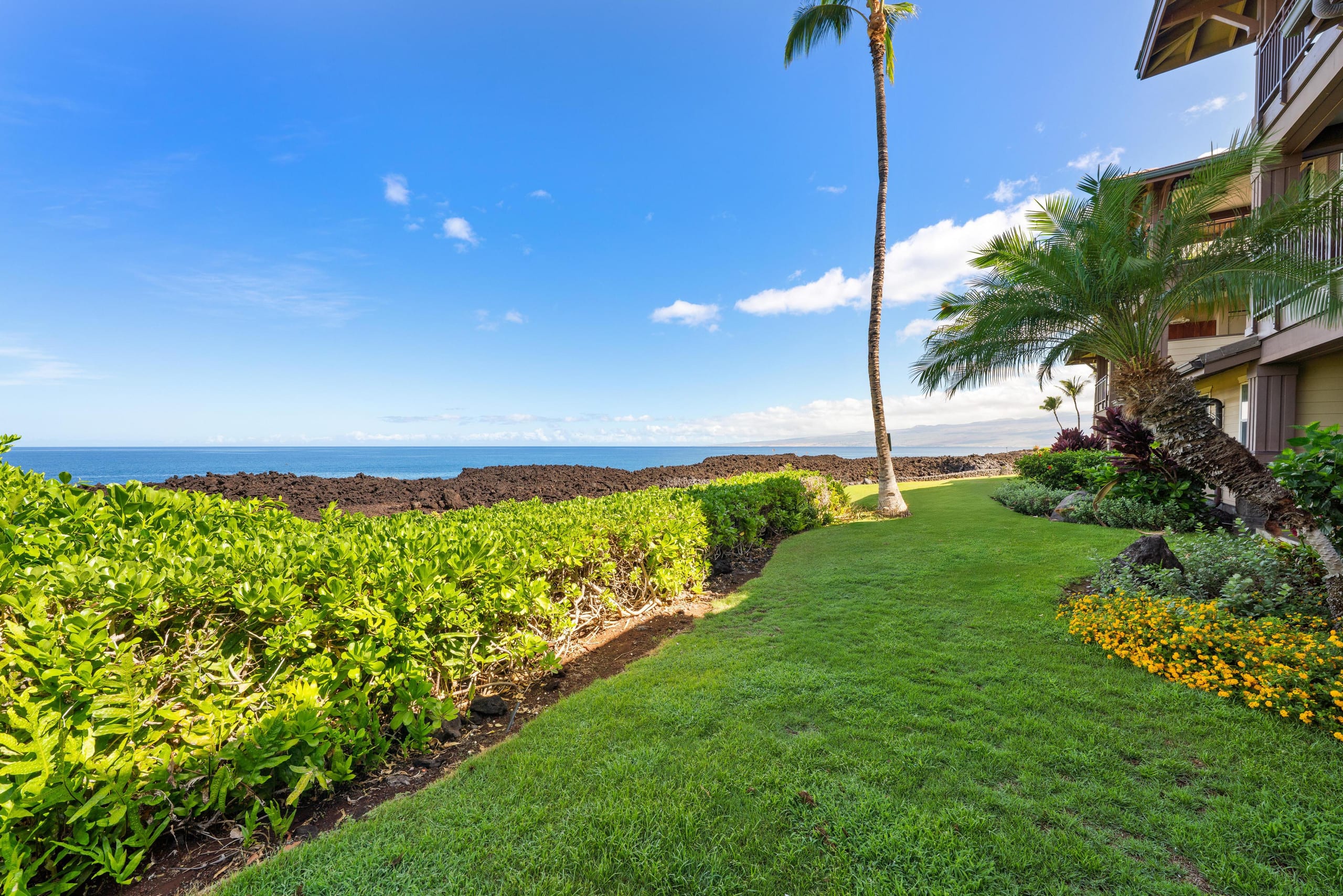 Ocean Front With Stunning Views 13E Halii Kai - Photo 35