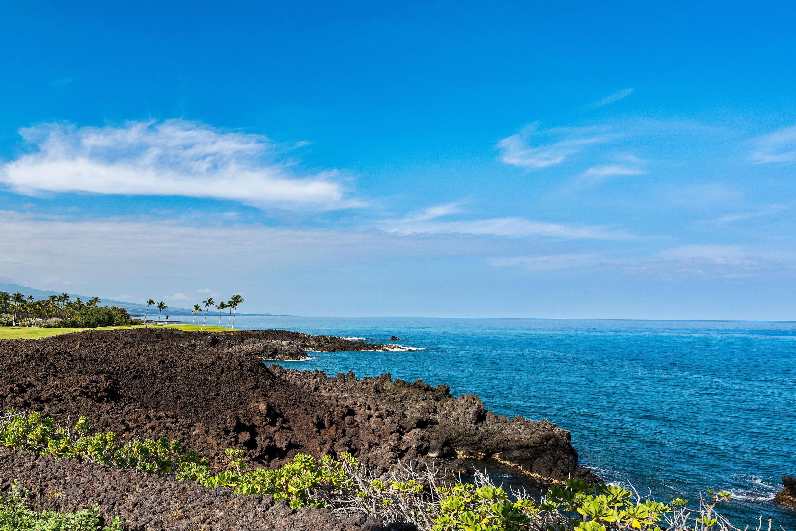 Ocean Front With Stunning Views 13E Halii Kai - Photo 40