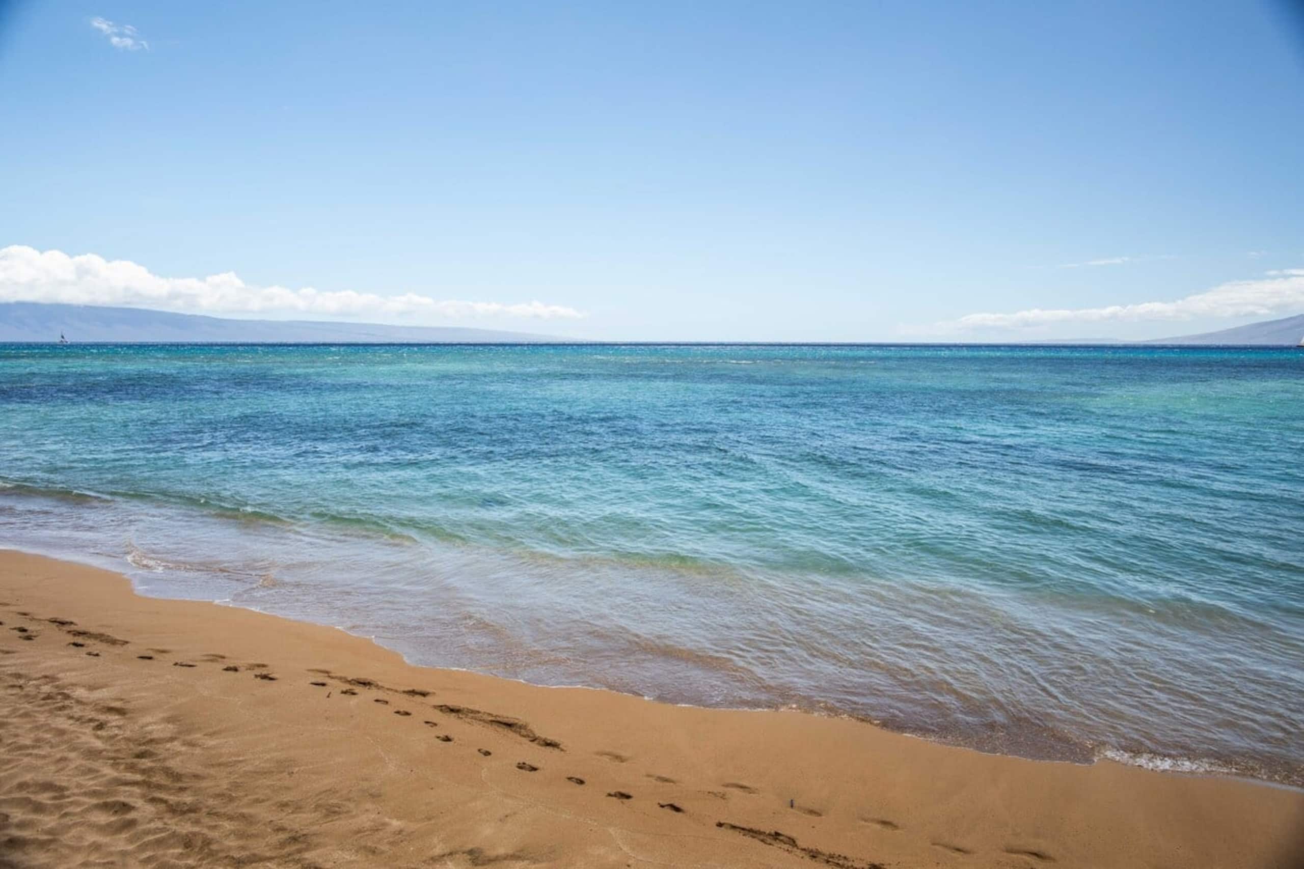 Condo in Lahaina · ★4.85 · 2 bedrooms · 4 beds · 1 bath - Image 31