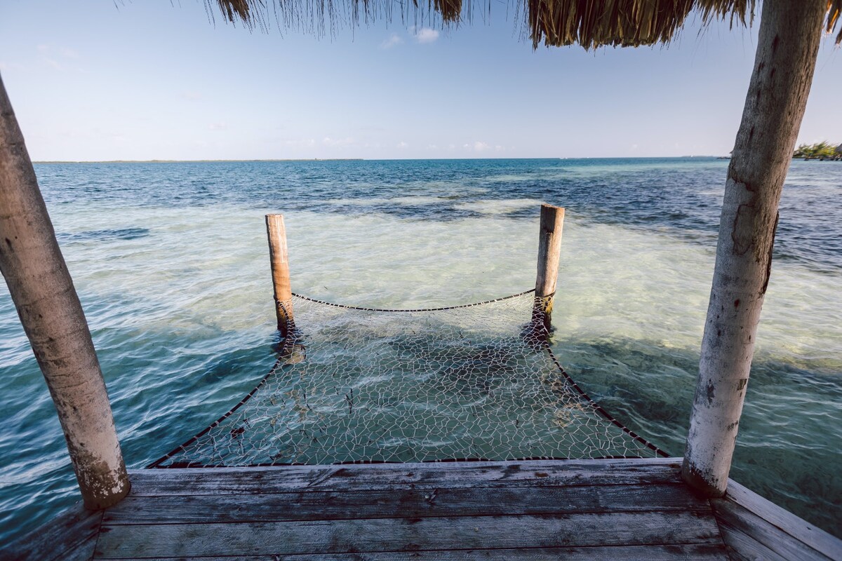 A wooden dock extends over tranquil waters, supported by rustic posts. The gentle waves create a serene atmosphere, while the shoreline can be seen in the distance. Sunlight reflects off the water, enhancing the peaceful coastal setting.