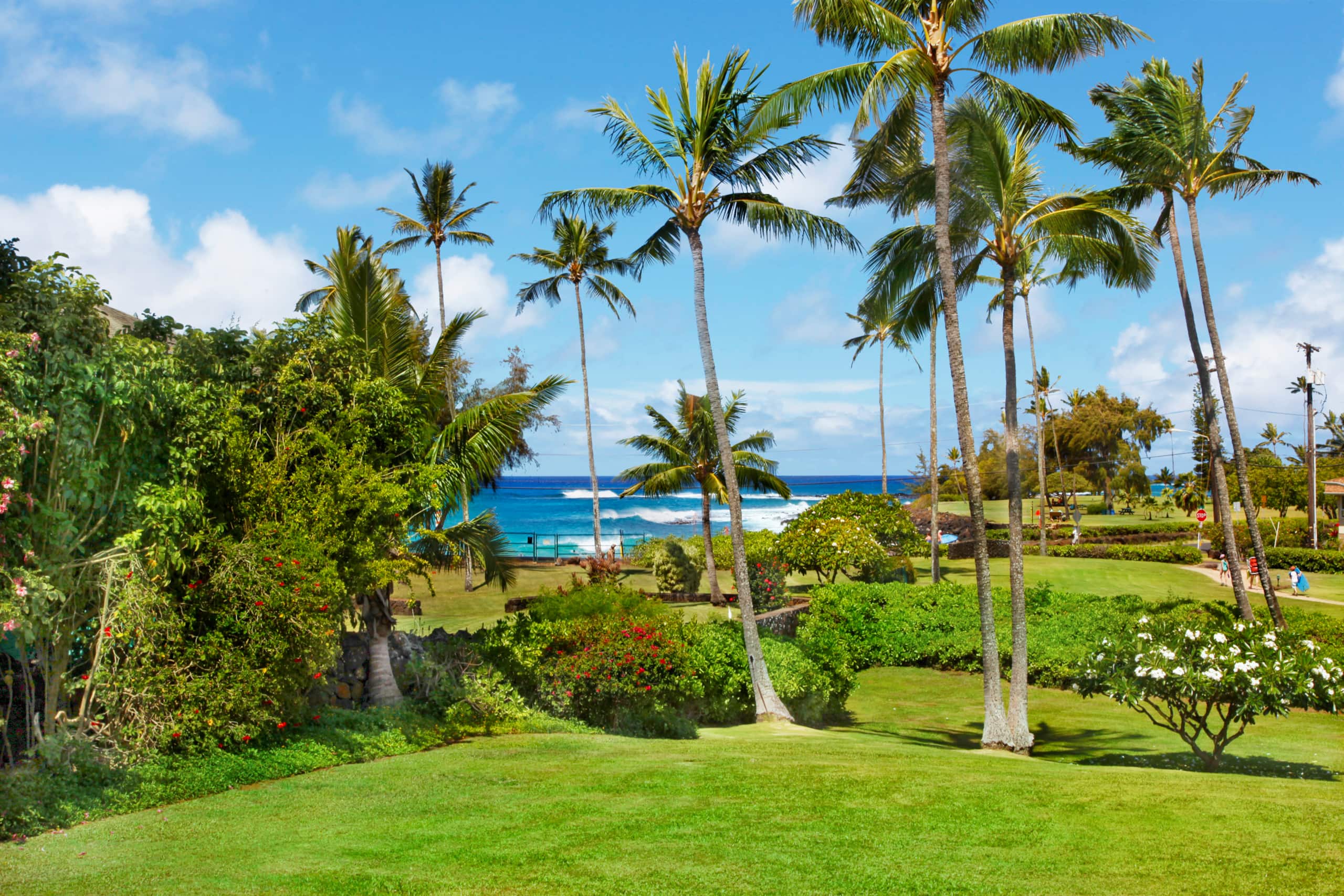 Condo in Koloa · ★5.0 · 1 bedroom · 1 bed · 2 baths - Image 12