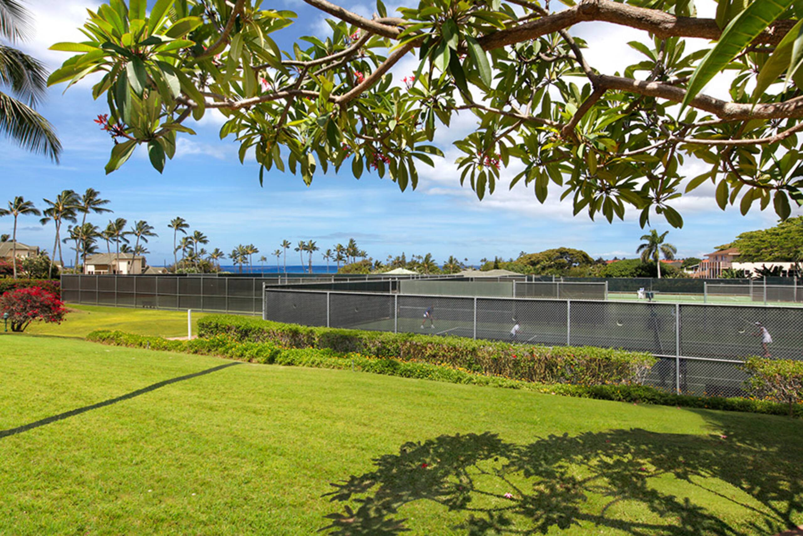 Condo in Koloa · ★4.61 · 2 bedrooms · 3 beds · 2 baths - Image 24